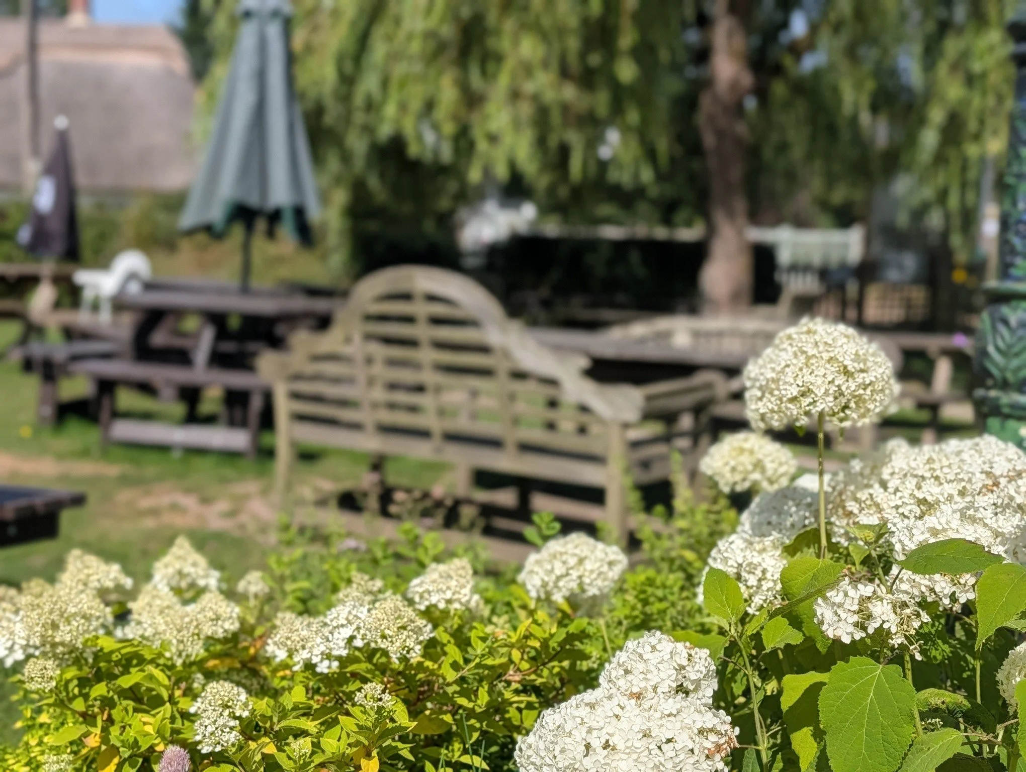 ☀️ Coffee tastes even better in the sunshine... 🌿

Whether you're walking, cycling or simply enjoying a day out in the New Forest, our lawn is the perfect place to pause.

Breakfast, lunch, homemade cakes, great coffee, ice creams and plenty of spac