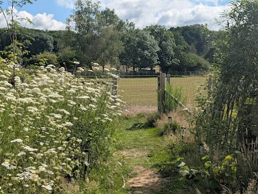 PXL_20260701_092537019.jpg