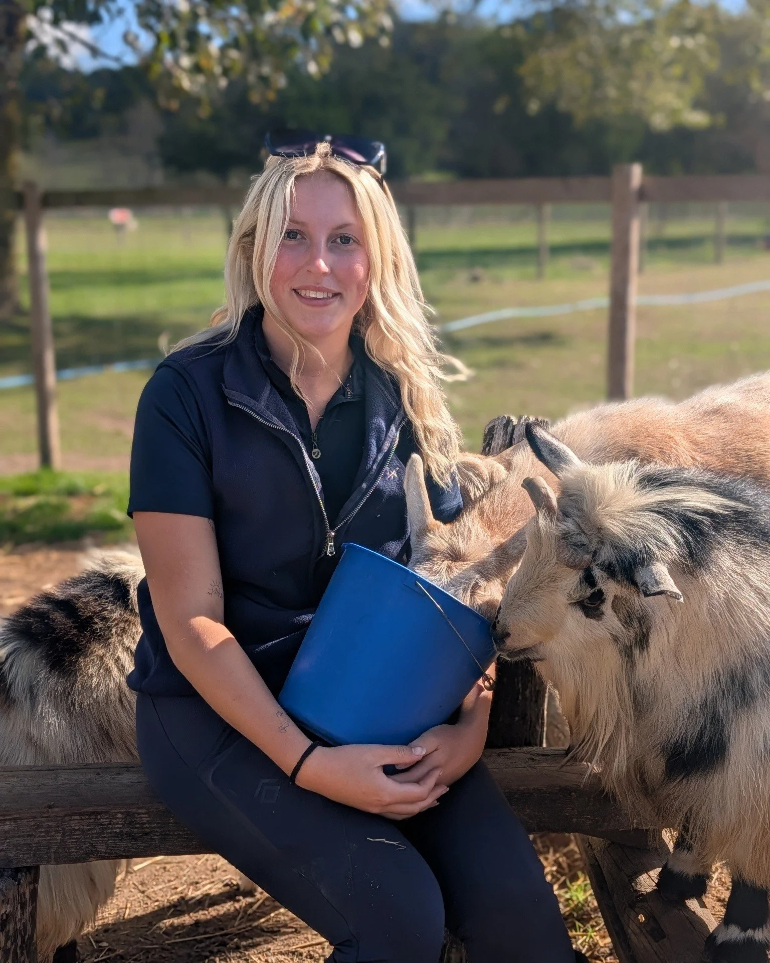 🌟 STAFF SPOTLIGHT: EMILIA 🌟

Emilia has been part of the Hockey&rsquo;s team for the past few months and is in charge of looking after all our wonderful animals. 🐐🐷🐓

Her favourite things about working here? The animals and the team!

Her favour