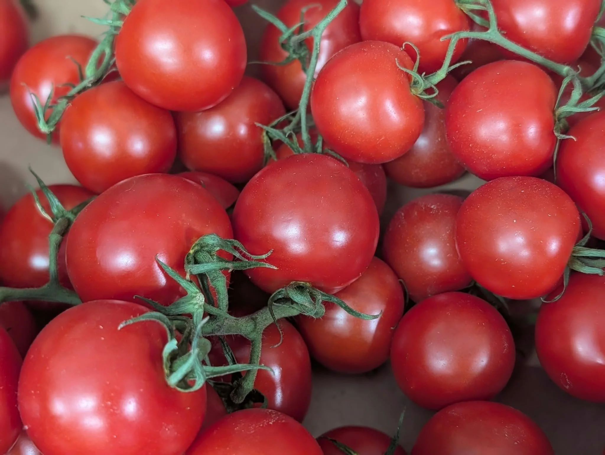 Eat the rainbow! 🍅🥕🥦🍎

Our Farm Shop is filled with fresh fruit and vegetables every day,  perfect for colourful suppers, healthy snacks, lunchboxes and weekend feasts.

The selection changes with the seasons, so there&rsquo;s always something fr
