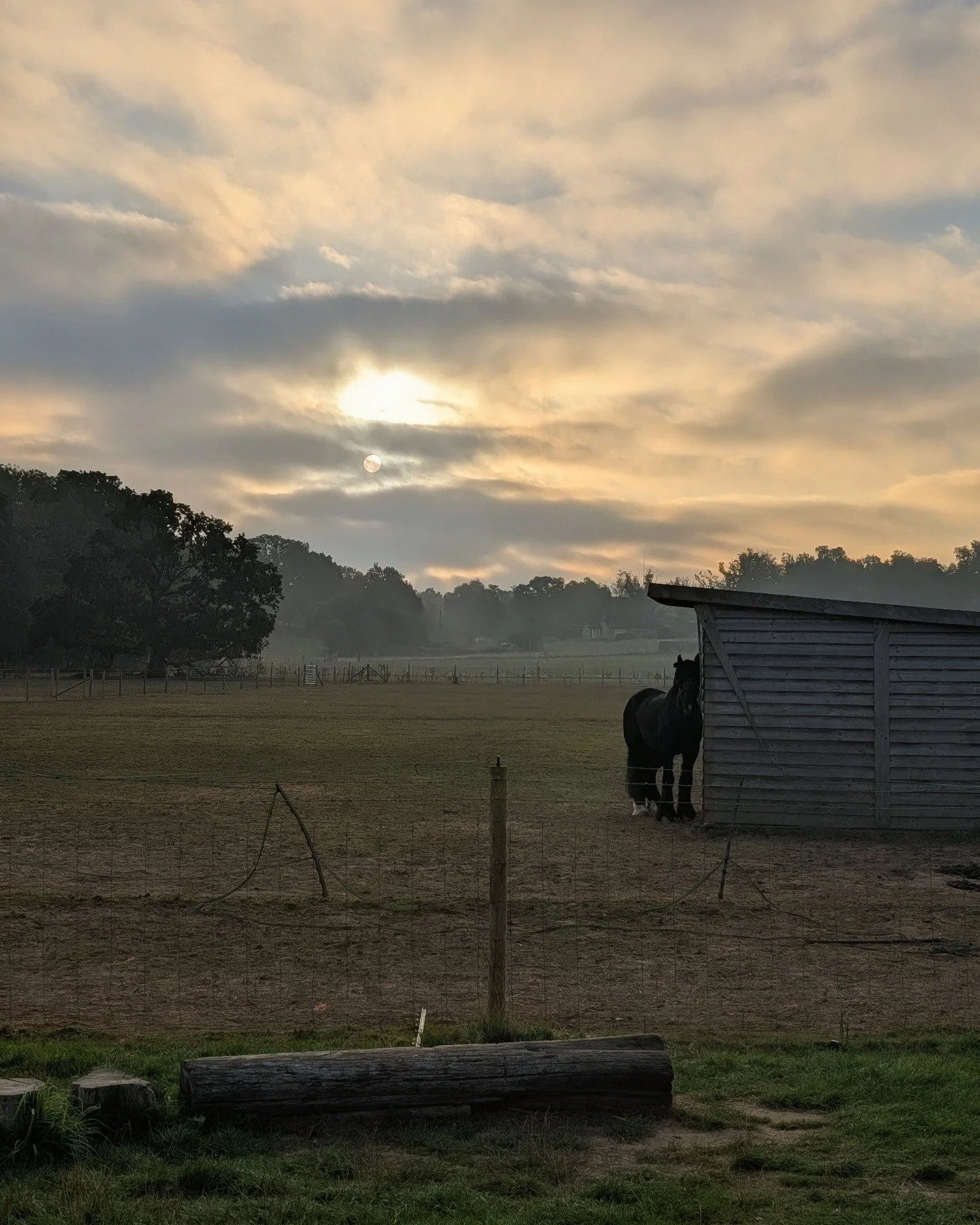 Good morning from Hockey&rsquo;s 🌅🐴
What a beautiful start to the day here in South Gorley.

#HockeysFarmShop #SouthGorley #NewForest #NewForestLife #FarmLife #GoodMorning