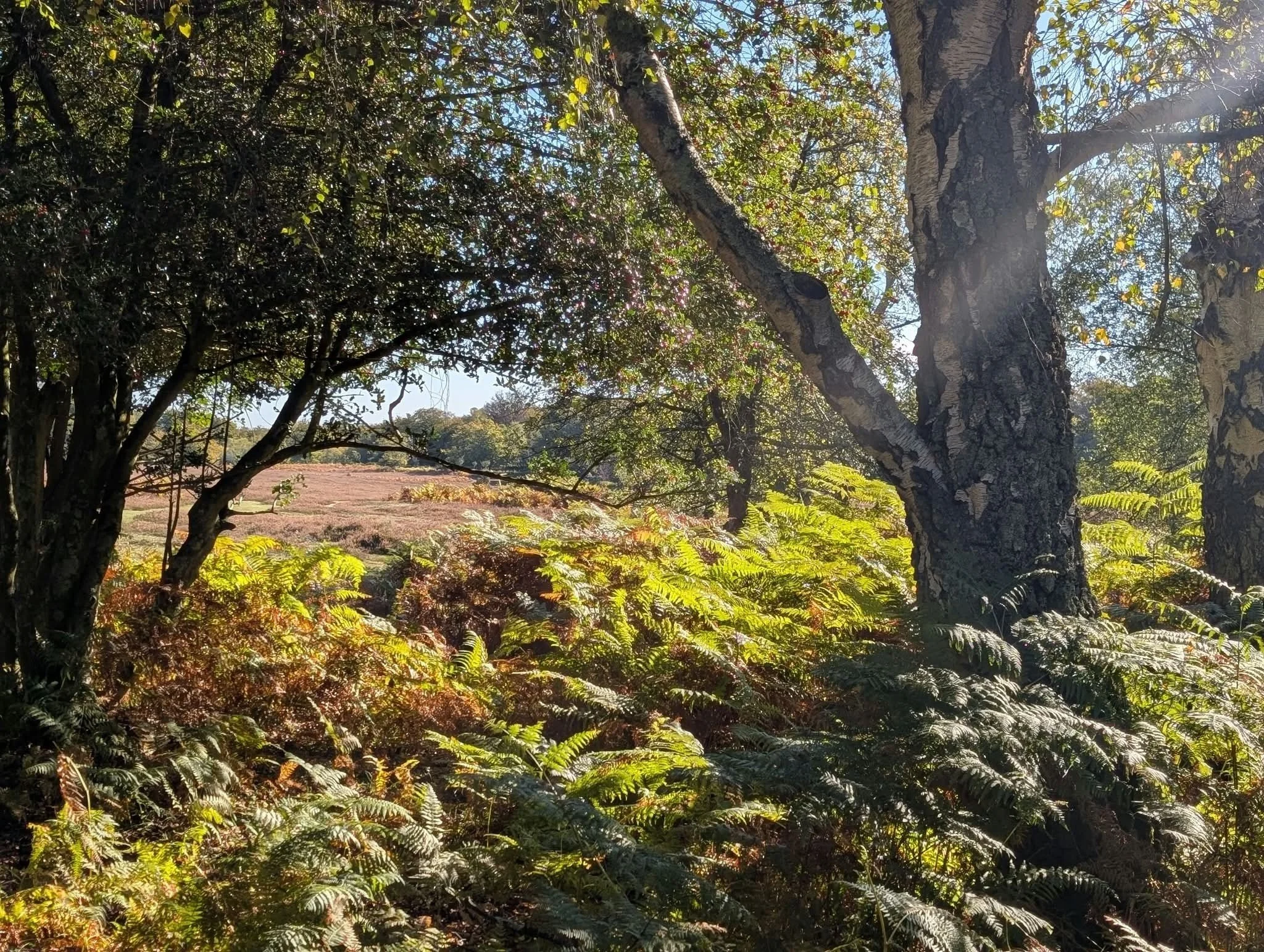 🍂 HELLO, OCTOBER! 🎃

Pumpkins, supper plans and paint-covered children&hellip; it&rsquo;s going to be a busy one! 😂

🍽️ Two Harvest Series evenings 🥾 Our monthly breakfast, talk and guided walk 🎨 Half-term pumpkin painting 👻 Halloween fun

Ple