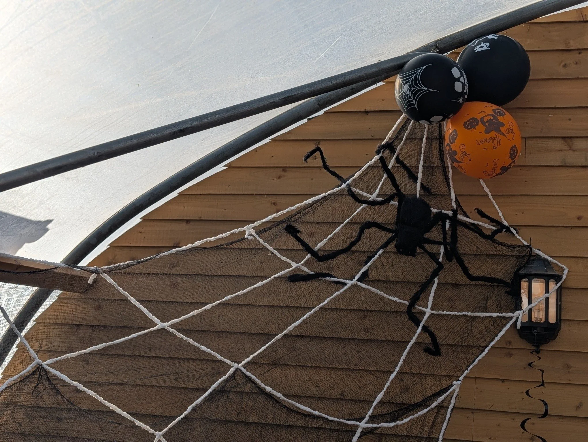 🎃 The bats have moved in, the pumpkins are ready and we&rsquo;ve acquired a rather oversized spider&hellip; 🕷️😂

Our polytunnel is getting into the Halloween spirit! Bring your little monsters along this half term for pumpkin painting, spooky face