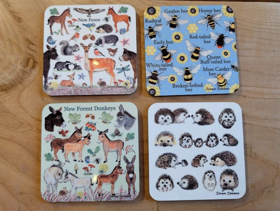 Shaun Stevens Art - Coasters (individual)