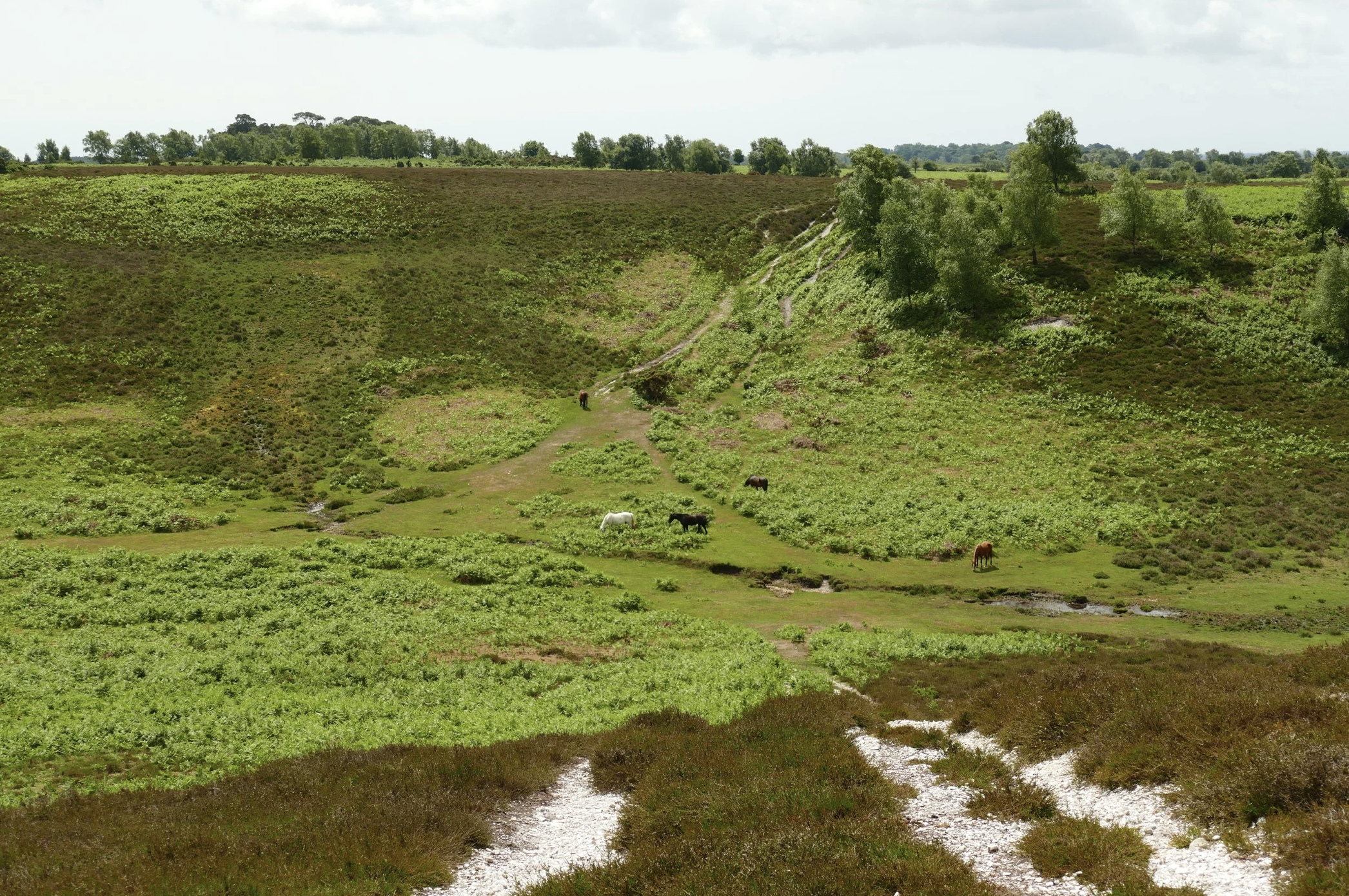 Screenshot 2026-01-29 at 13.43.55.png