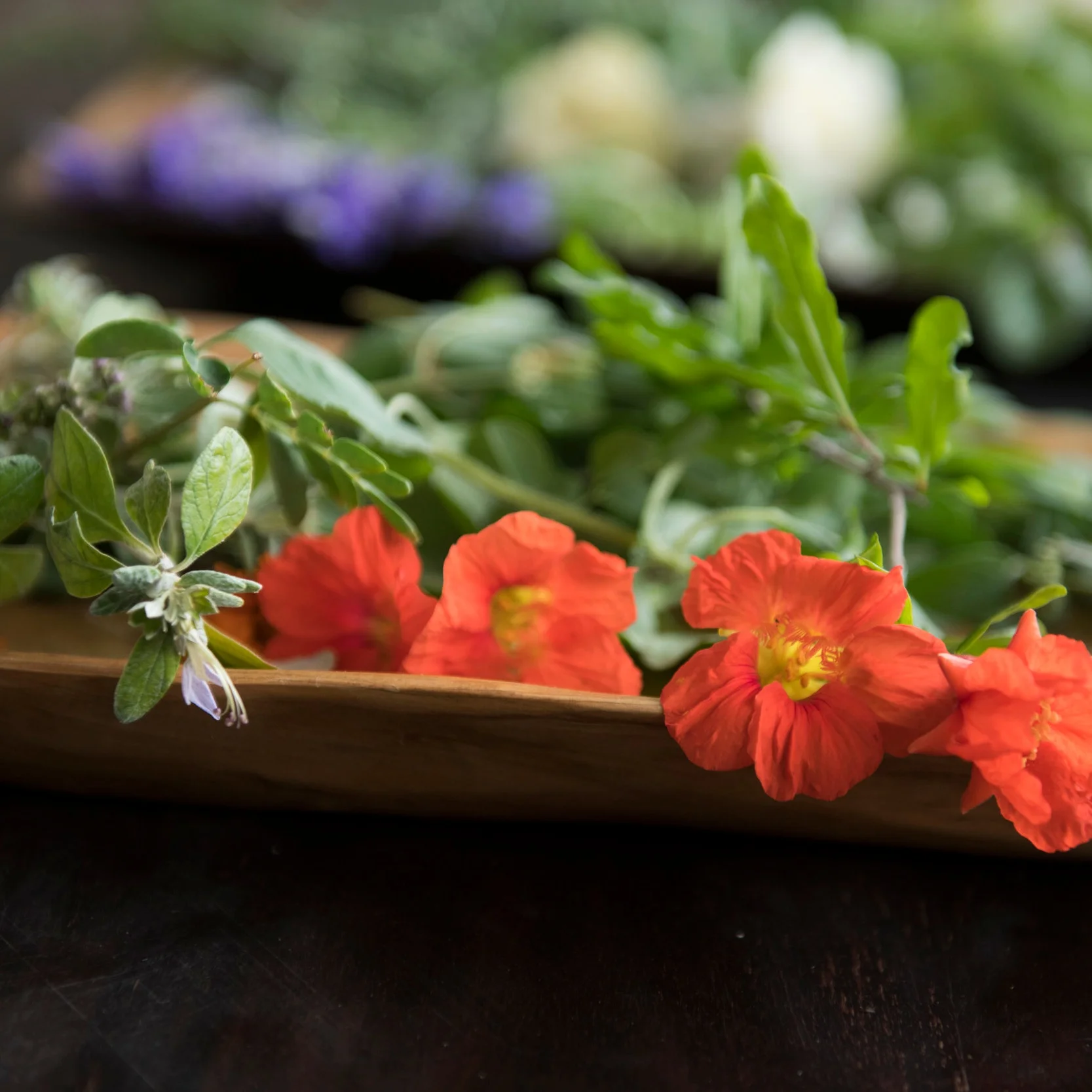 eternal_radiance_ayurveda_floral_ingredients_2.jpg