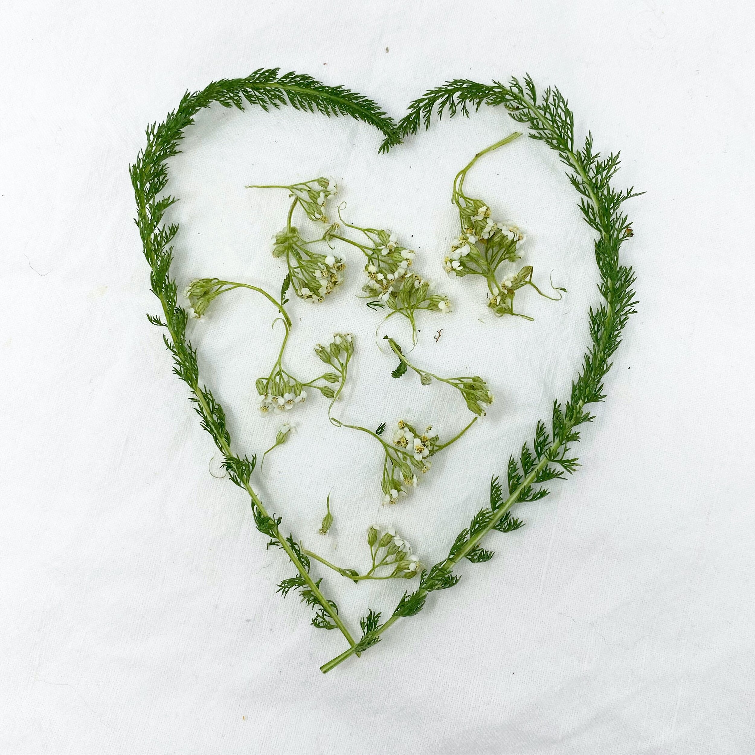 Eternal_Radiance_Ayurveda_Garden_Herbs (Copy)