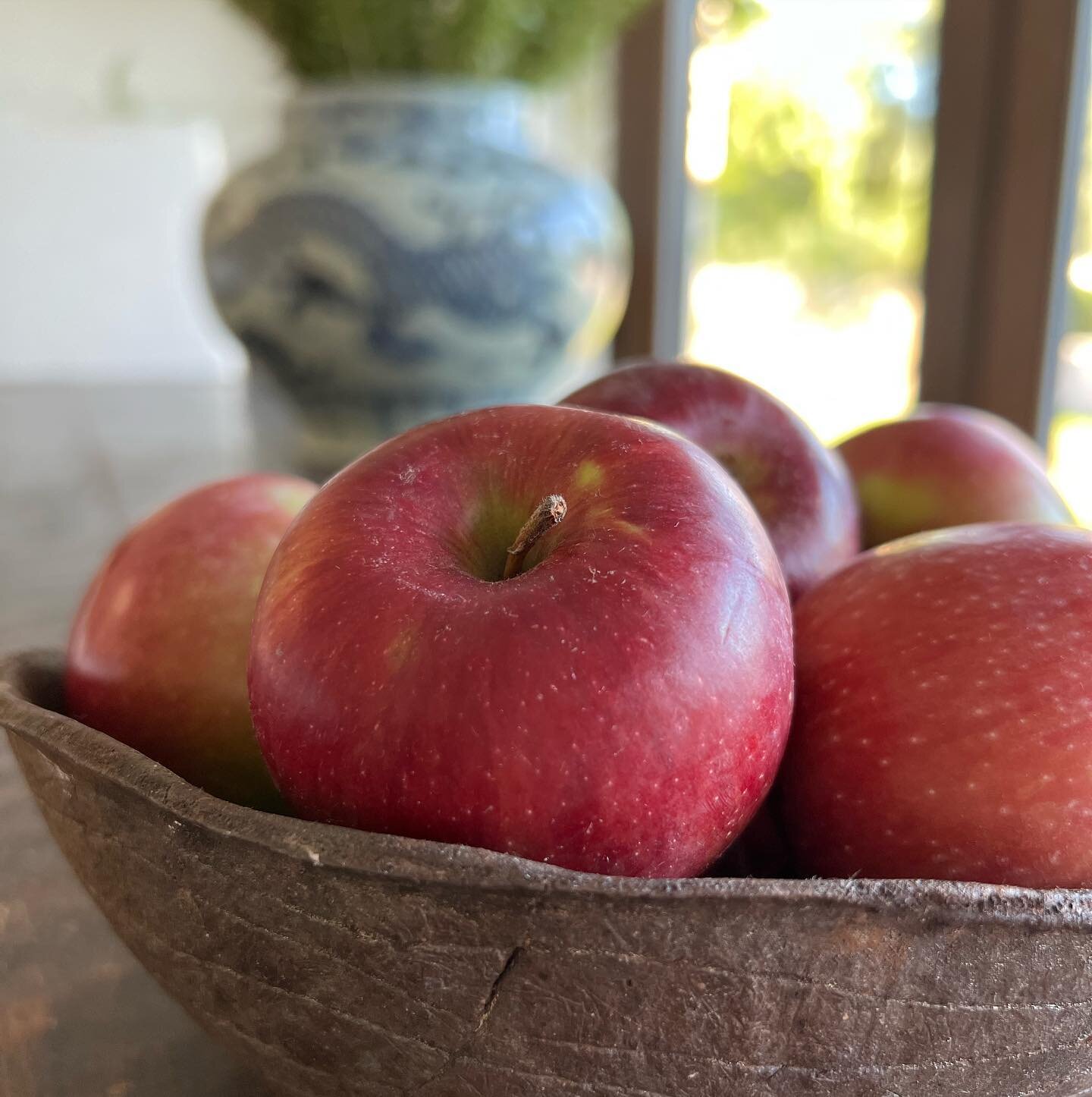 An apple a day&hellip;
Think about apples as medicine. Gently warmed with ghee, cinnamon, clove and nutmeg. Delicious!
 

#vatamedicine #vataseason #ayurveda#localapples