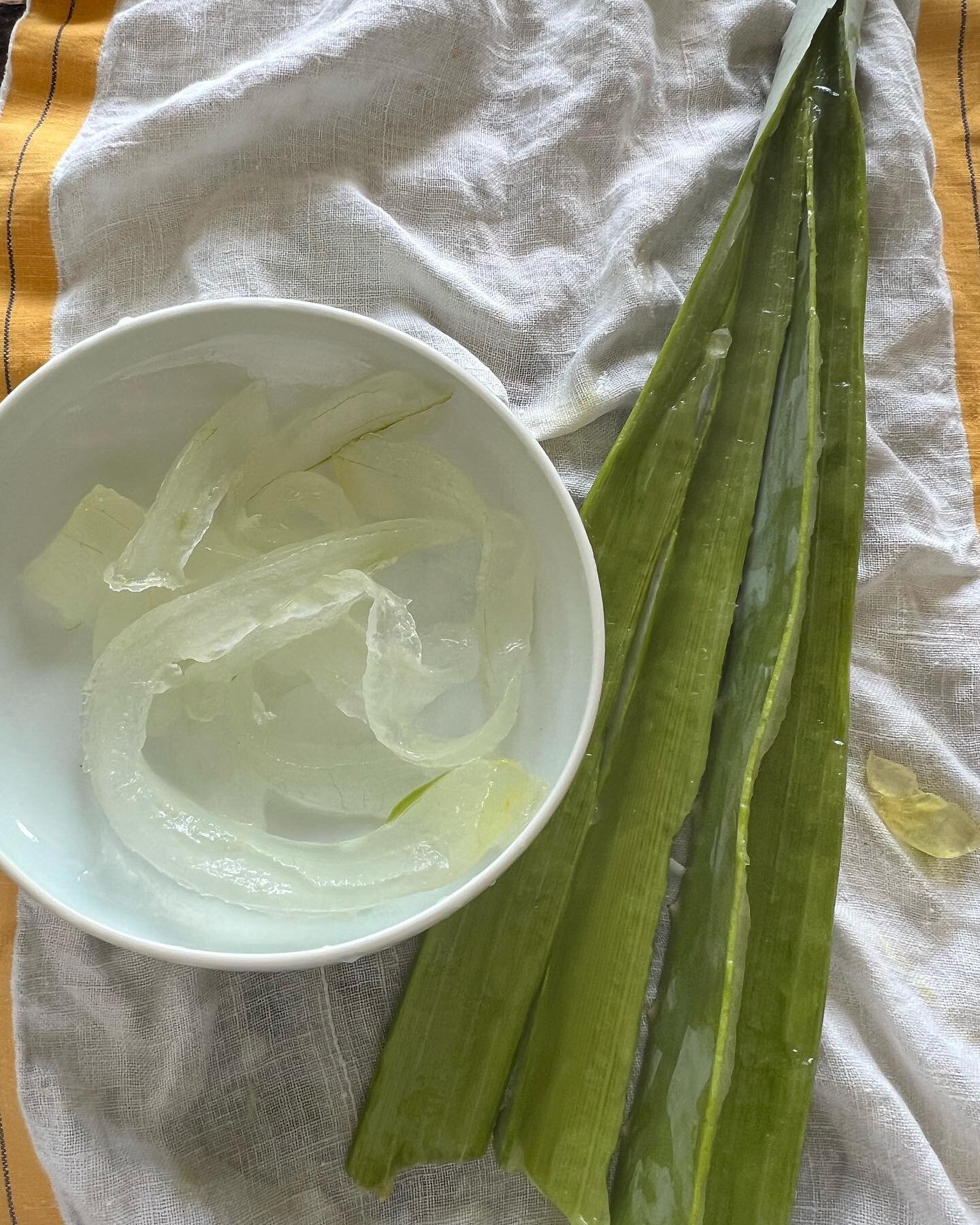 When the heat is on it&rsquo;s time for aloe!  Easy to scrape out the gel and use to make heavenly skin masques and spritzes. Put some in a blender with cucumber, mint and water for internal cellular moisture.