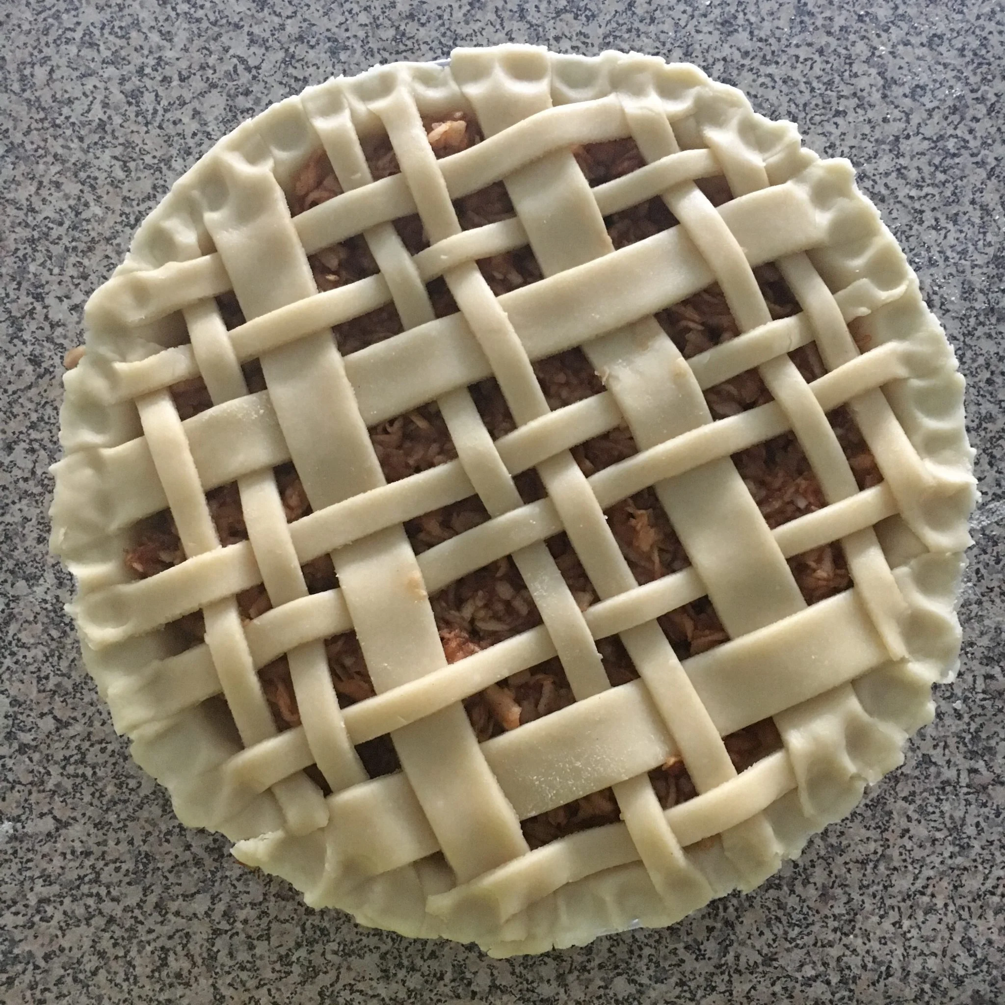 The-Hungarian-Brunette-creative-pie-crust-1-of-2.jpg