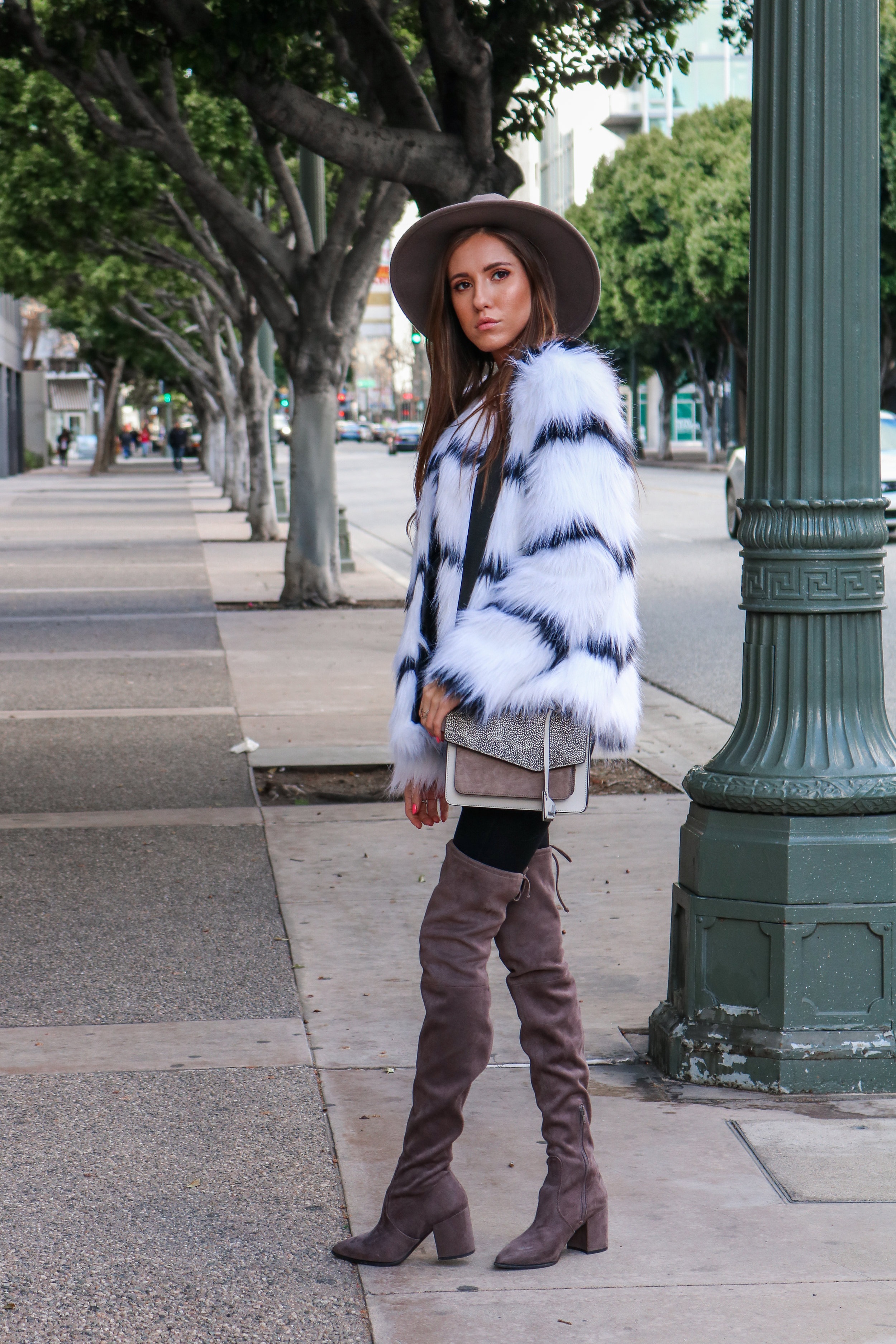 The+Hungarian+Brunette+Black+and+white+fur+coat+%2810+of+80%29.jpg