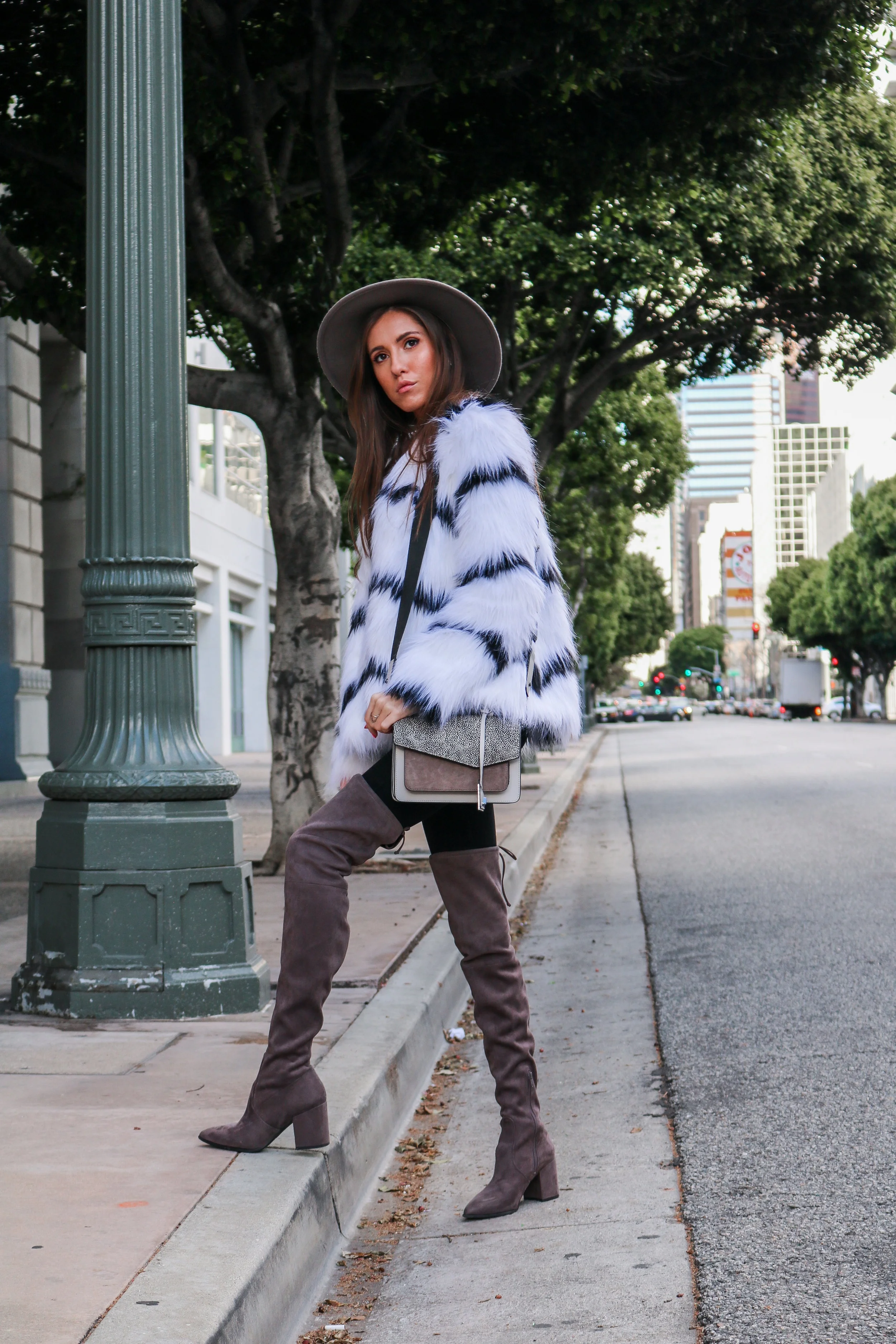 The+Hungarian+Brunette+Black+and+white+fur+coat+%2829+of+80%29.jpg