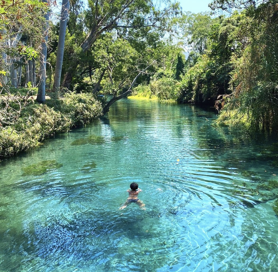 Screen Shot 2021-12-15 at 12.06.52 PM.png