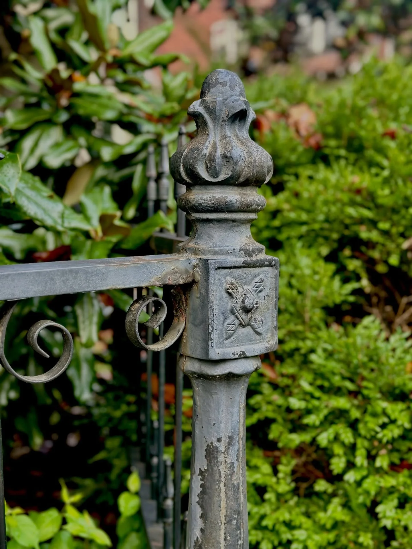 🌳Around the neighborhood.🌳

There is always something new (and old) and beautiful to see when walking the Belmont-Hillsboro neighborhood. 

#bhn #moment #neighborhood #walk #scenes #outdoordesign #nashville #belmonthillsboro #iron #beauty #communit