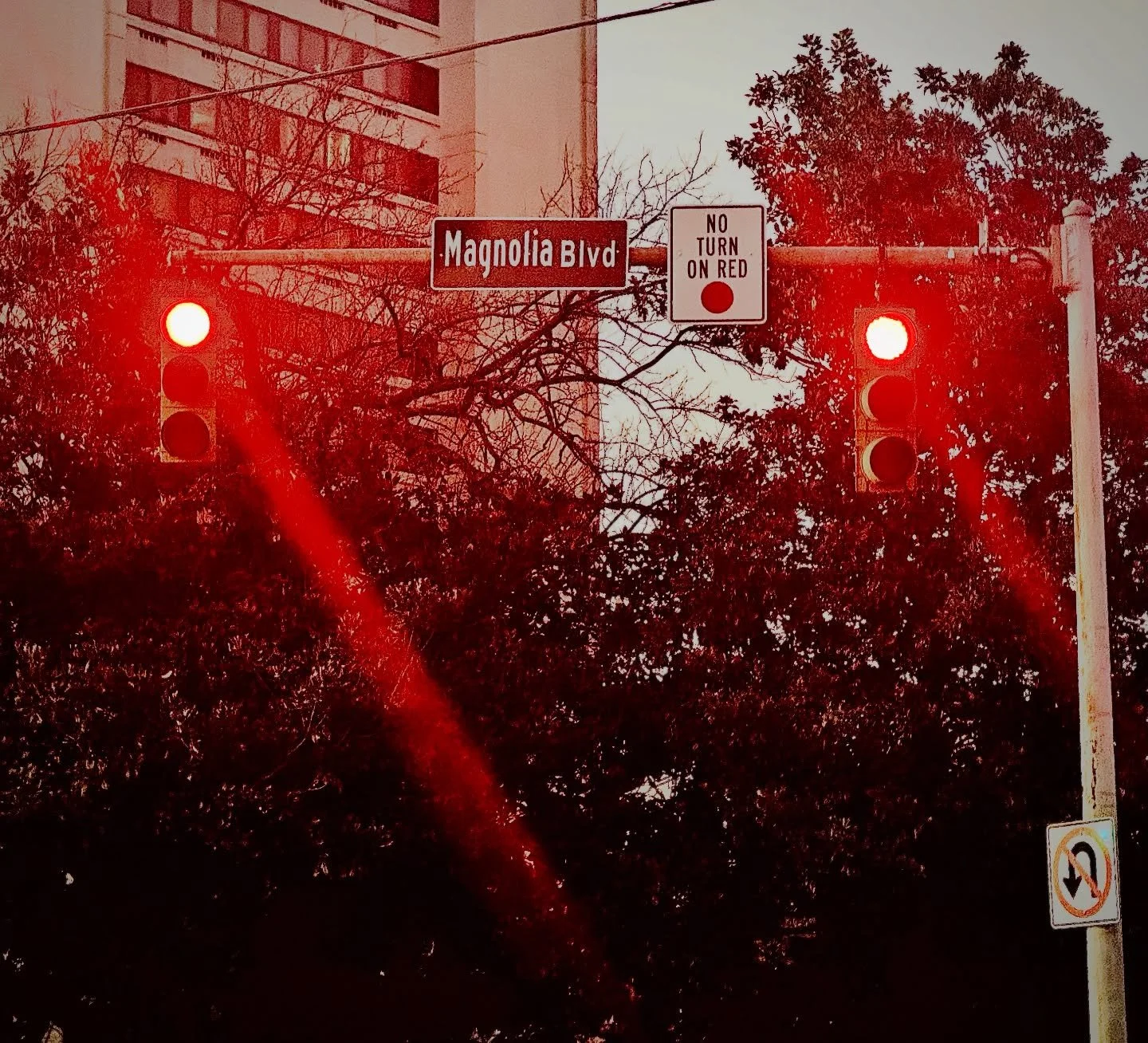 🚦Holiday Nights and Red Lights🚦

&lsquo;Tis the season for hustle, bustle and more time spent in the car getting from one holiday event and errand to the next. Driving around town can be nerve-rattling at any time of the year, but many of our neigh