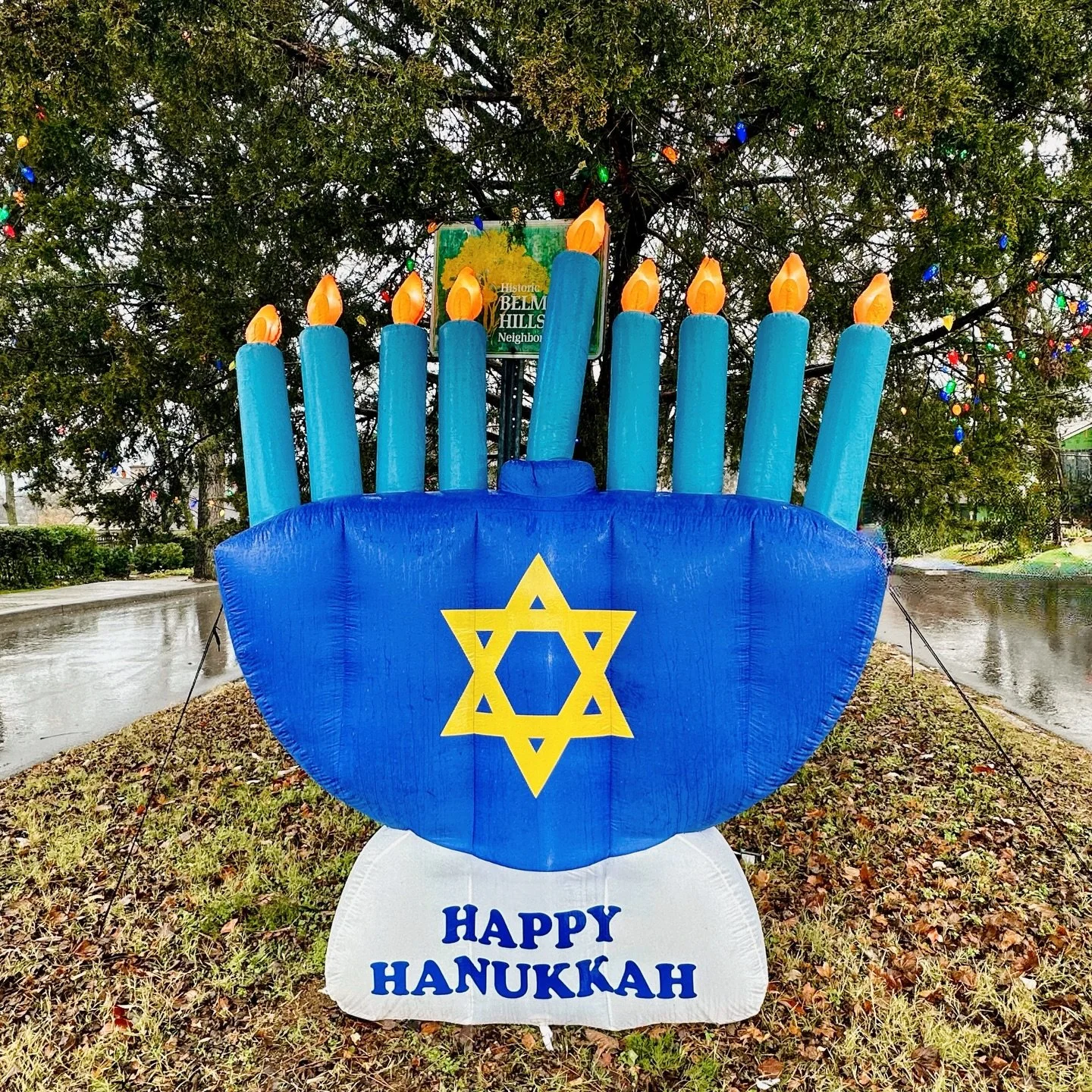 Our Belmont-Hillsboro neighborhood is looking festive! We wish all of our neighbors who celebrate Hanukkah, a peaceful and joyous holiday. 

-BHN

#nashville #hanukkah #community #neighbors #holiday