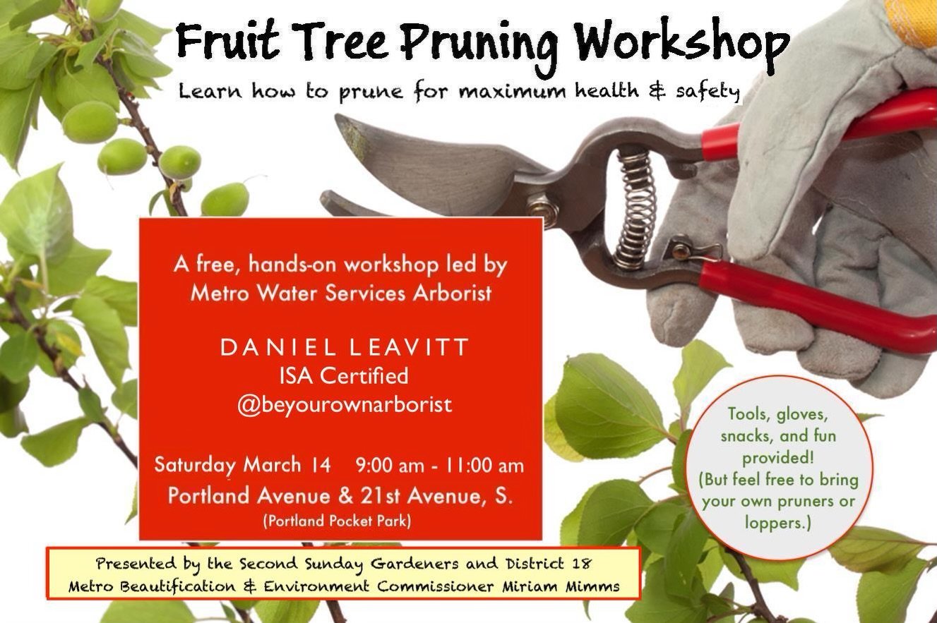 Free fruit-tree pruning workshop at Portland Park, this Saturday. All ages are welcome. 

#nashville #gardening #secondsundaygardeners #metrobeautificationandenvironmentcommission