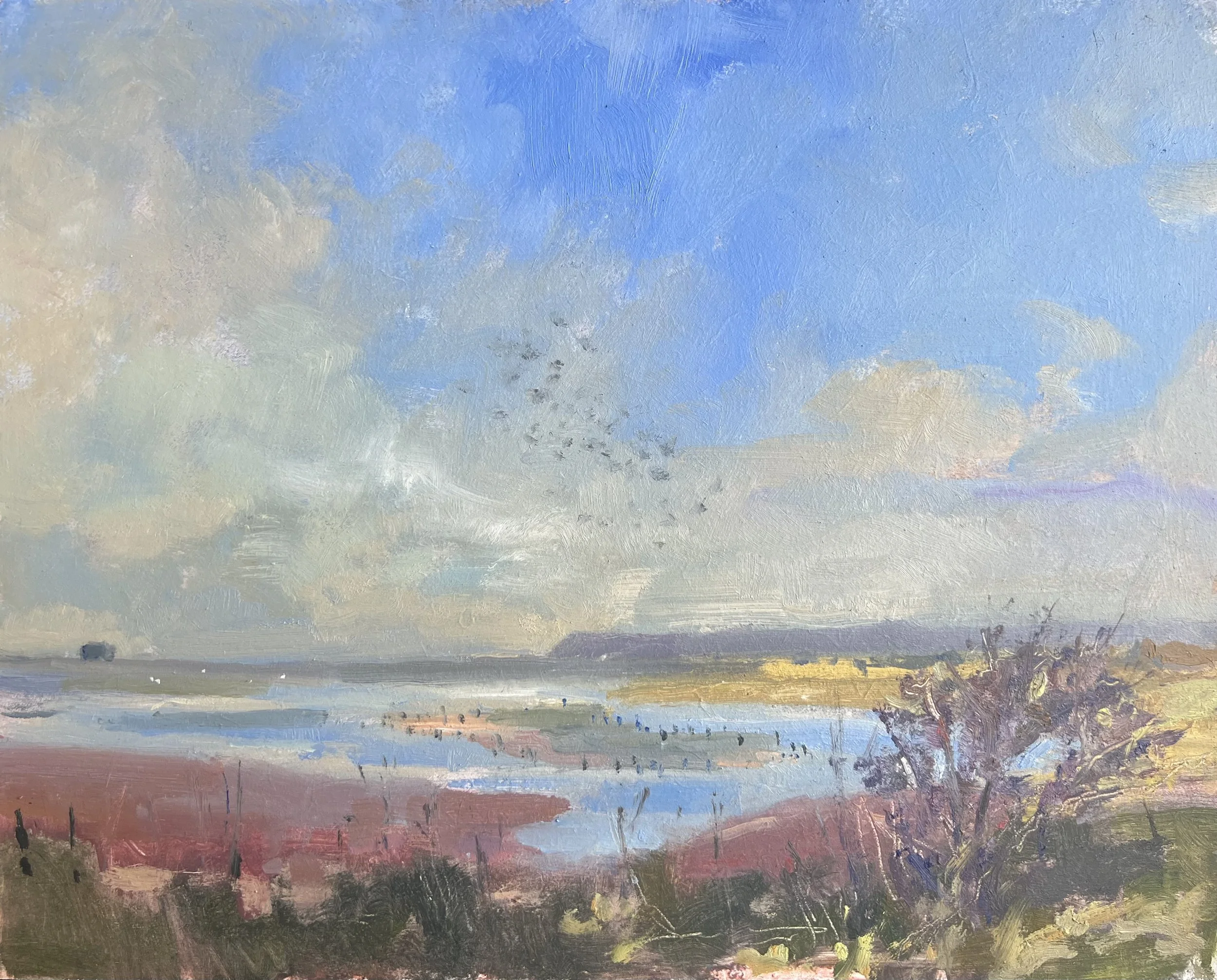 late morning light at the harbour copy.jpeg