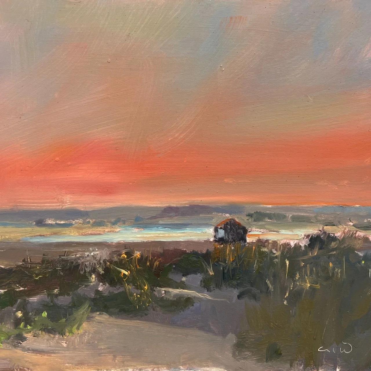 Cadmium reds in the evening sky.jpeg