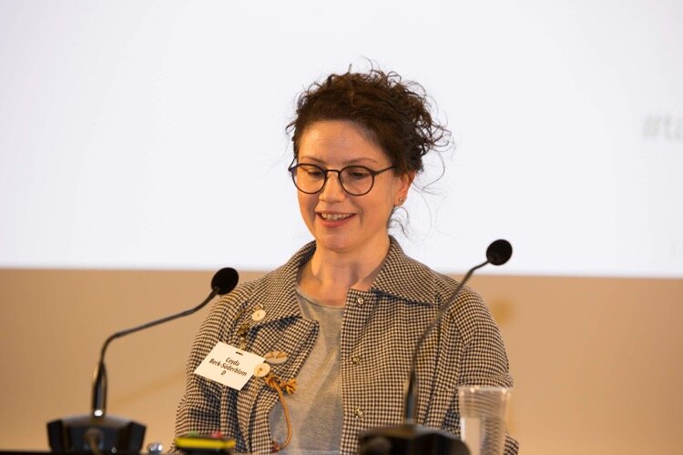 Commentary at Art, Culture and a Diverse Finland seminar 