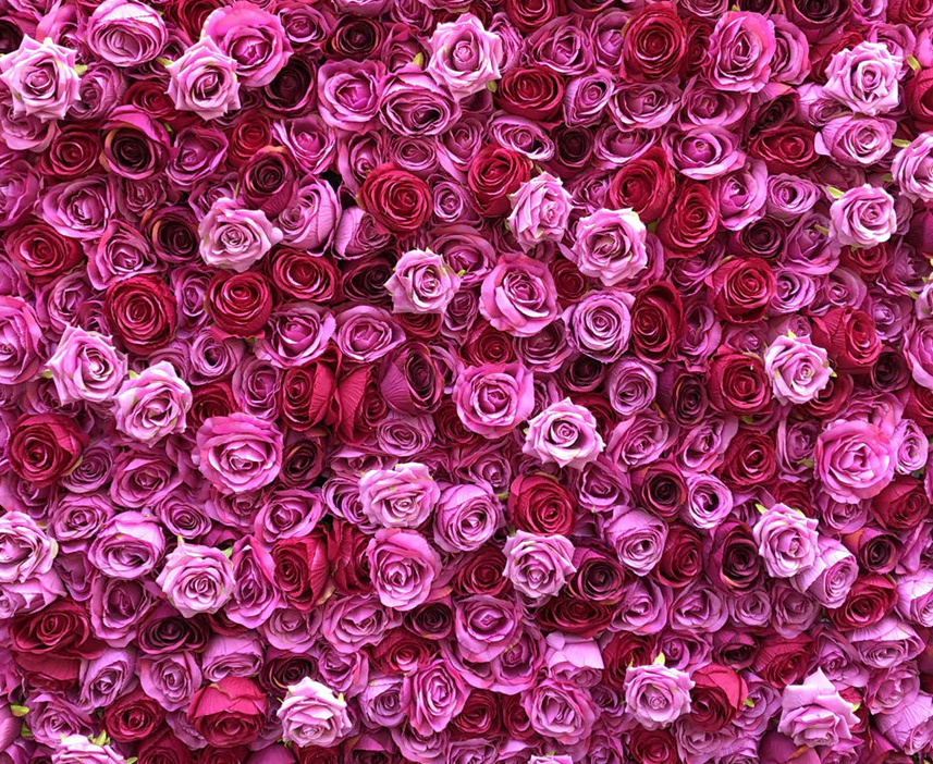 Flower Wall Rental Dallas