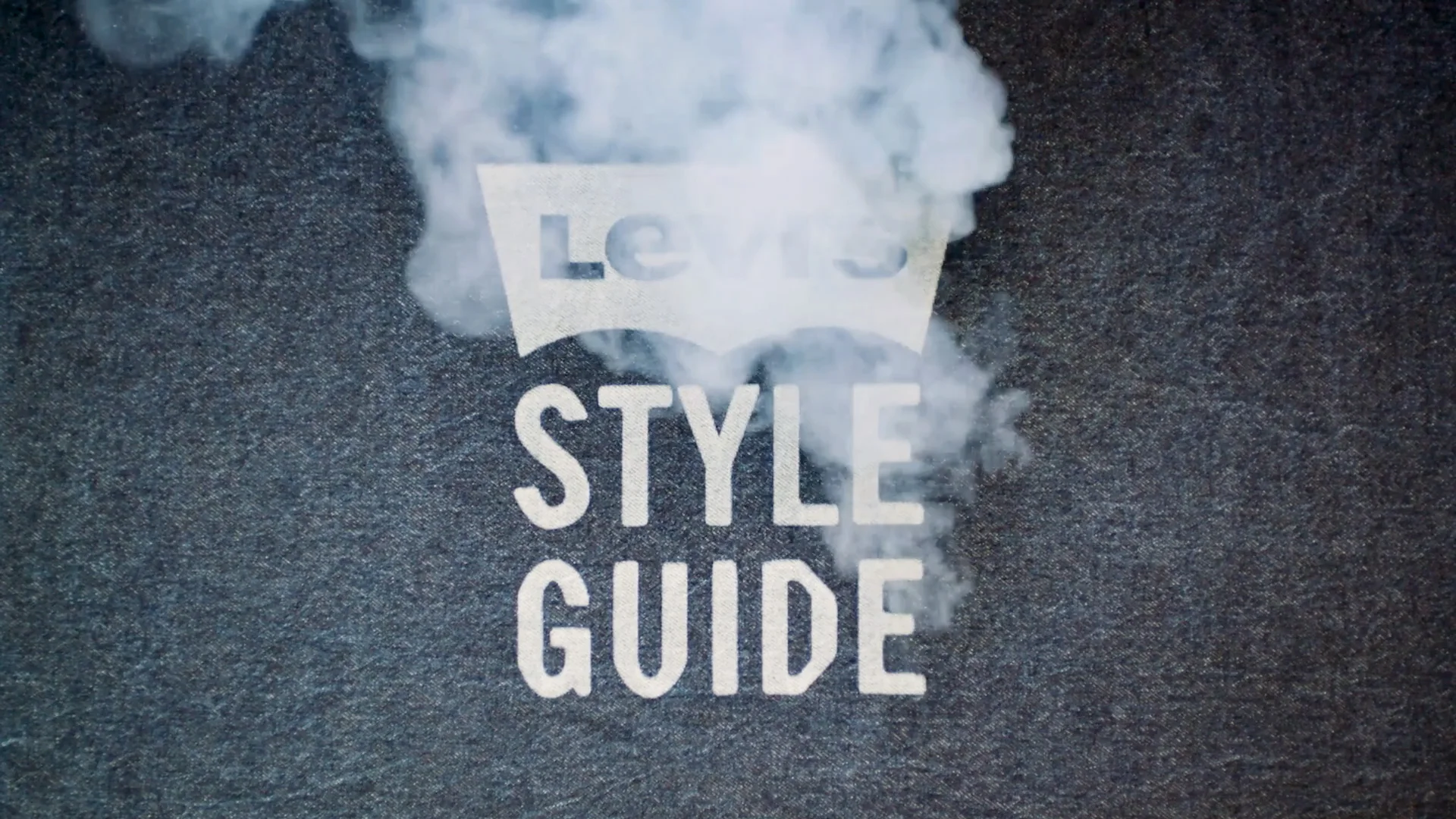 LevisStyleGuide.jpg