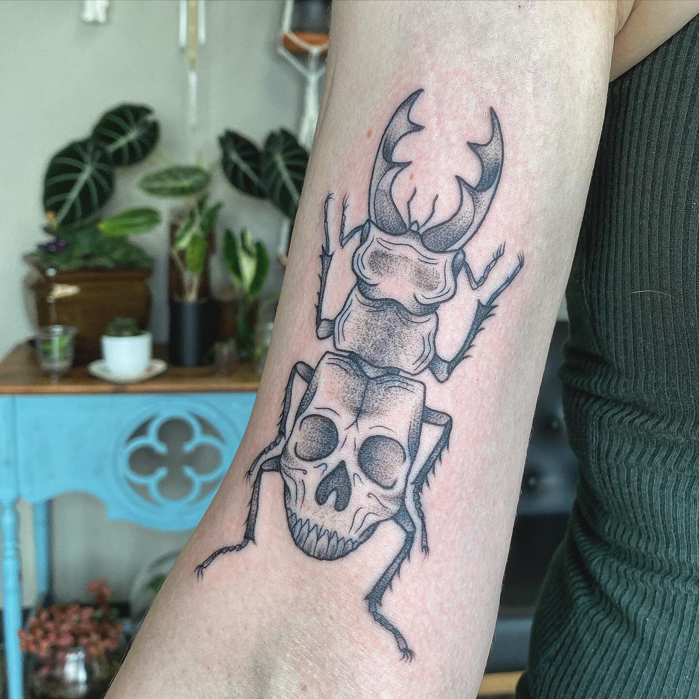 I got to do the skull beetle from my flash today! Thanks so much Heather! 
.
.
.
.
.
.
#beetle #beetletattoo #insecttattoo #bugtattoo #stagbeetle #skullbeetle #stagbeetletattoo #threekeystattoo