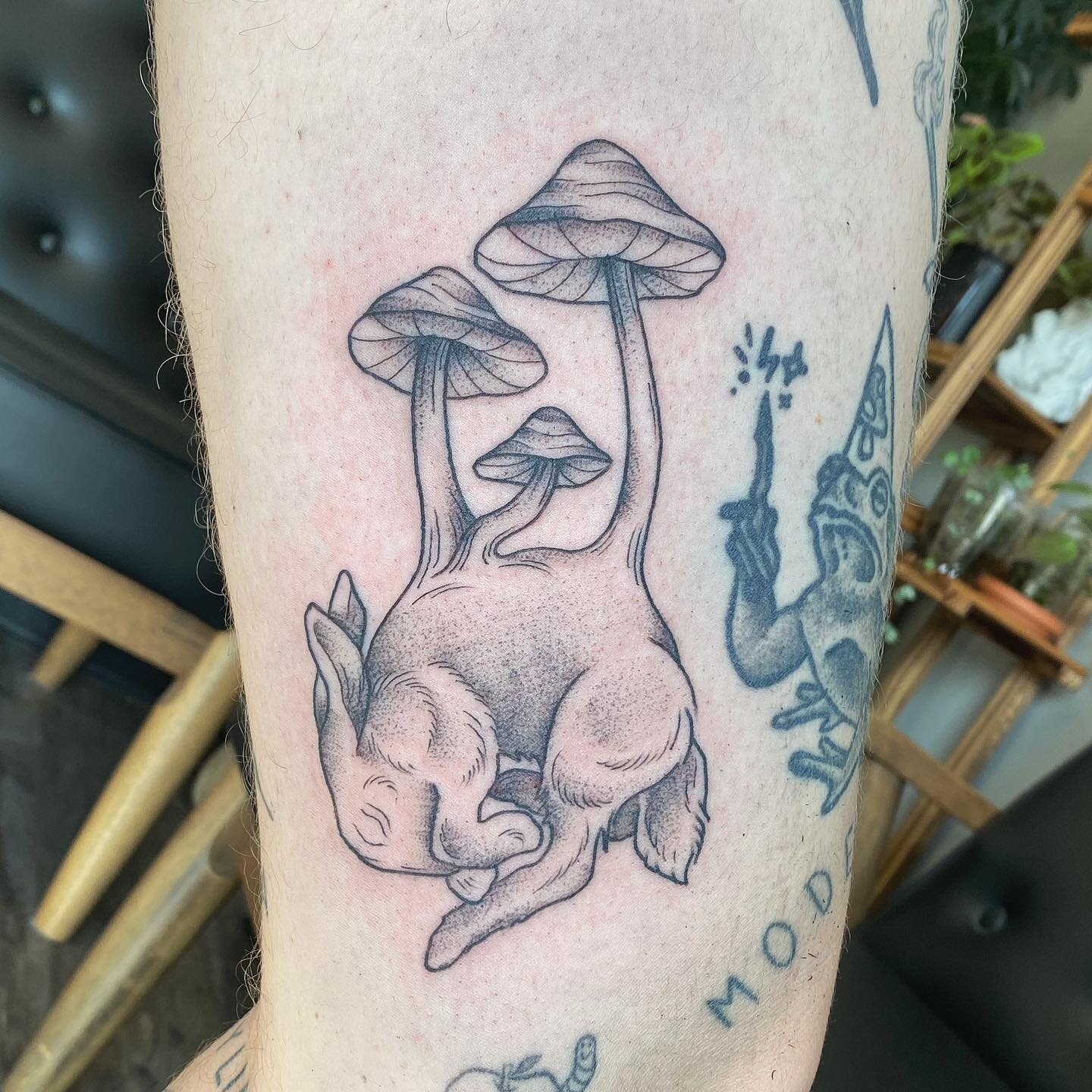 Did this mushroom rabbit for @leftoverveg this weekend! Thank you 💚 
.
.
.
.
.
.
.
#rabbittattoo #mushroomtattoo #rabbit #mushroom #naturetattoo #bunny #bunnytattoo #threekeystattoo