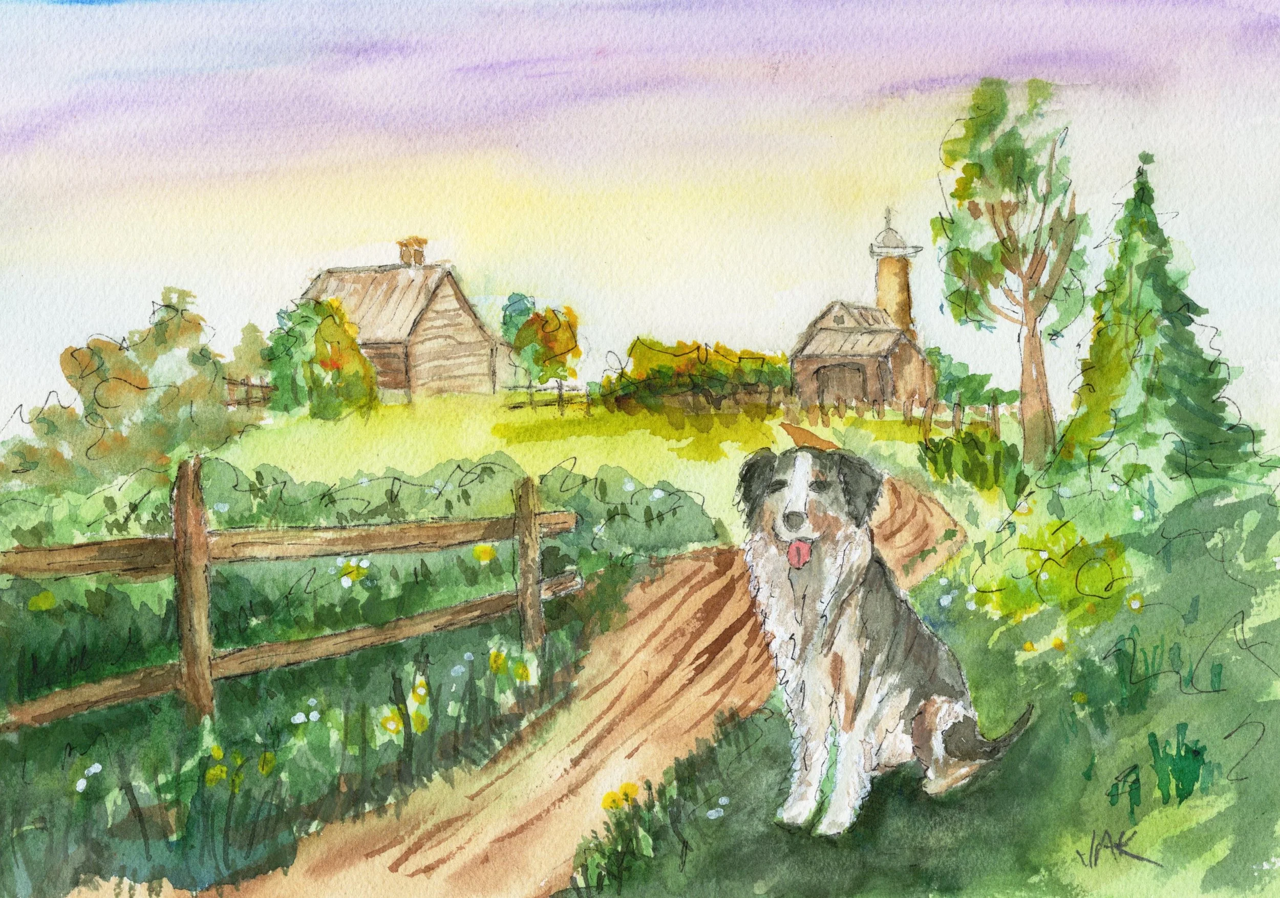 dog at farm.jpg