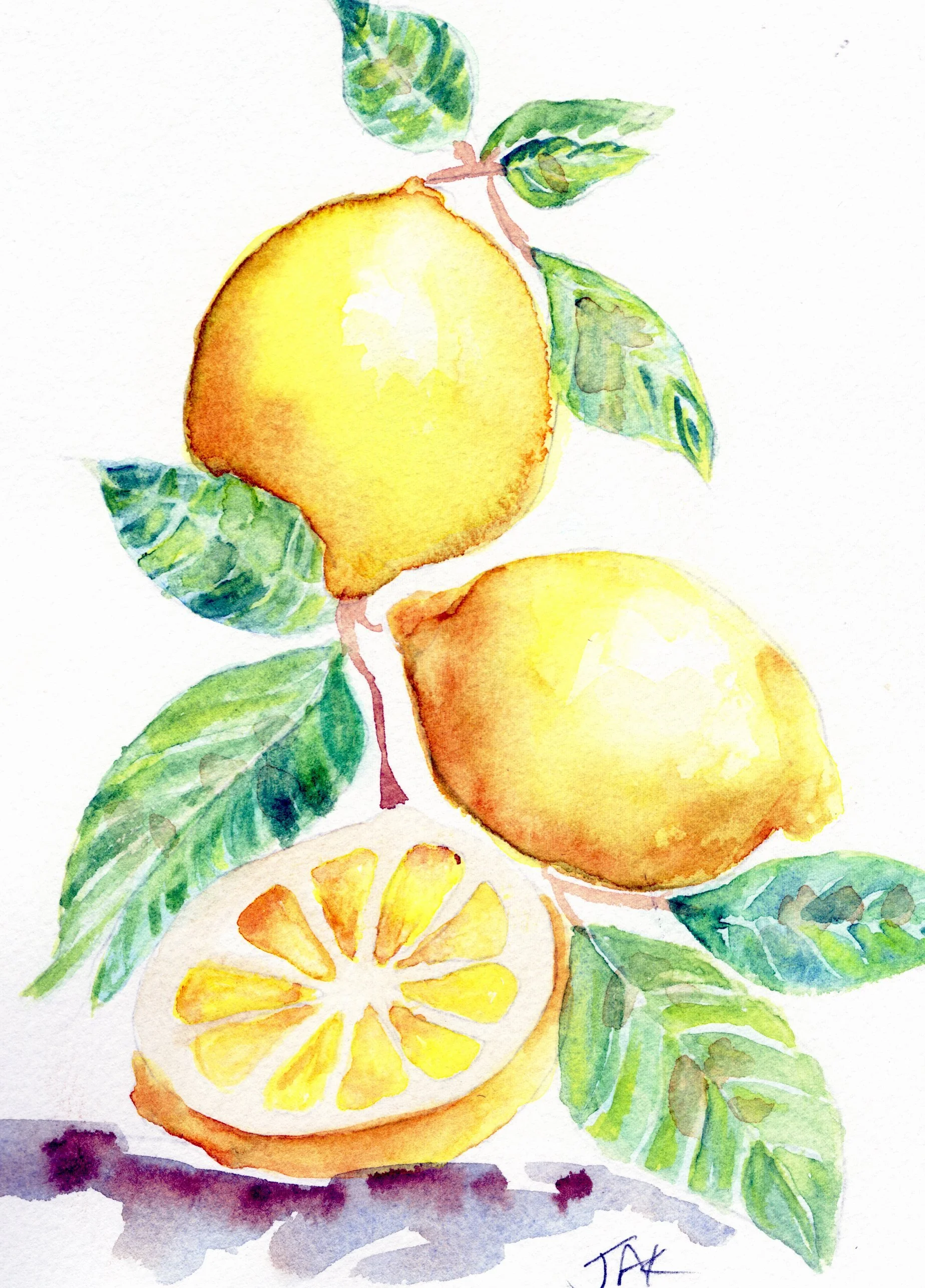 lemons 2.jpg