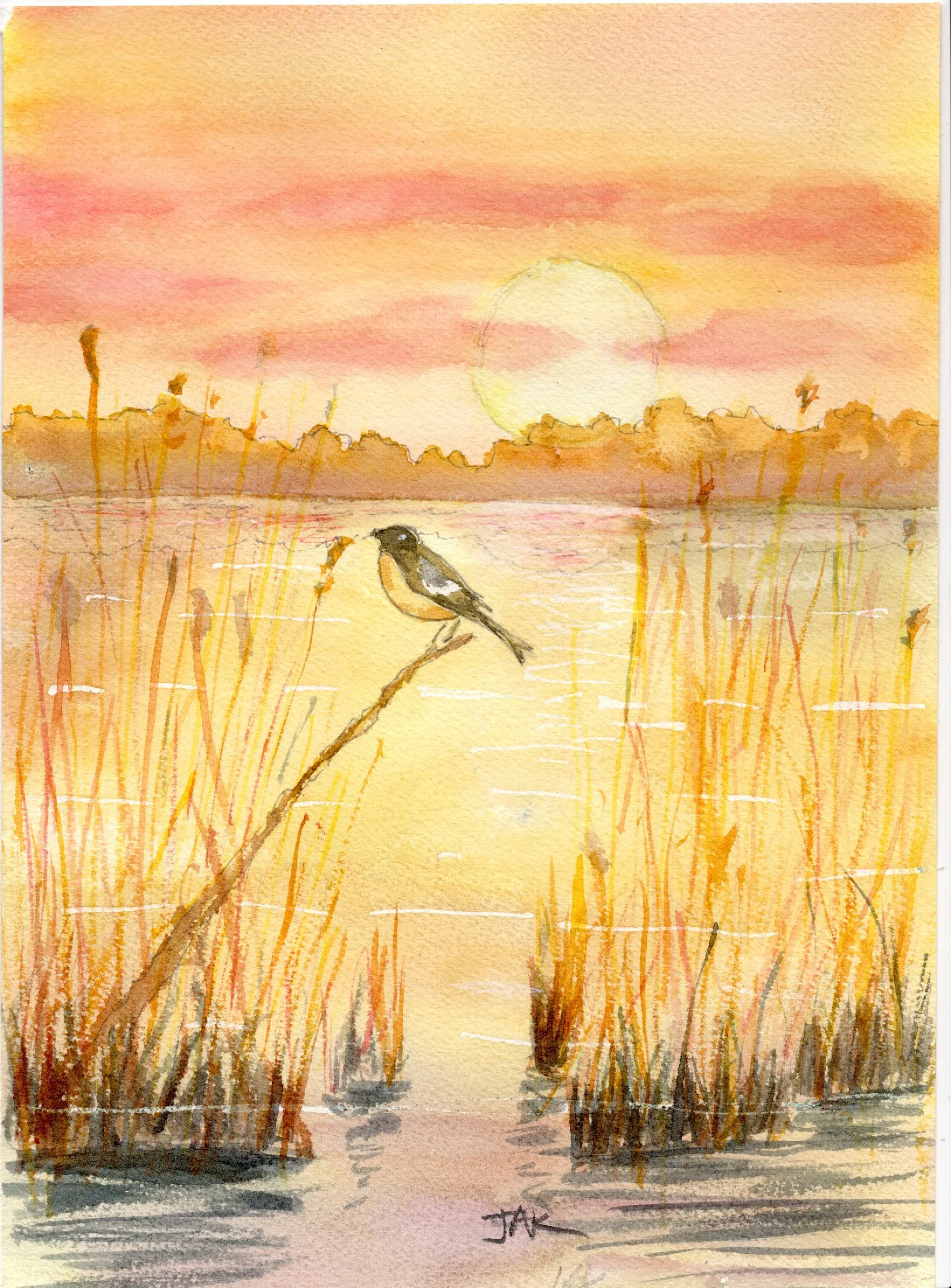 swamp bird.jpg
