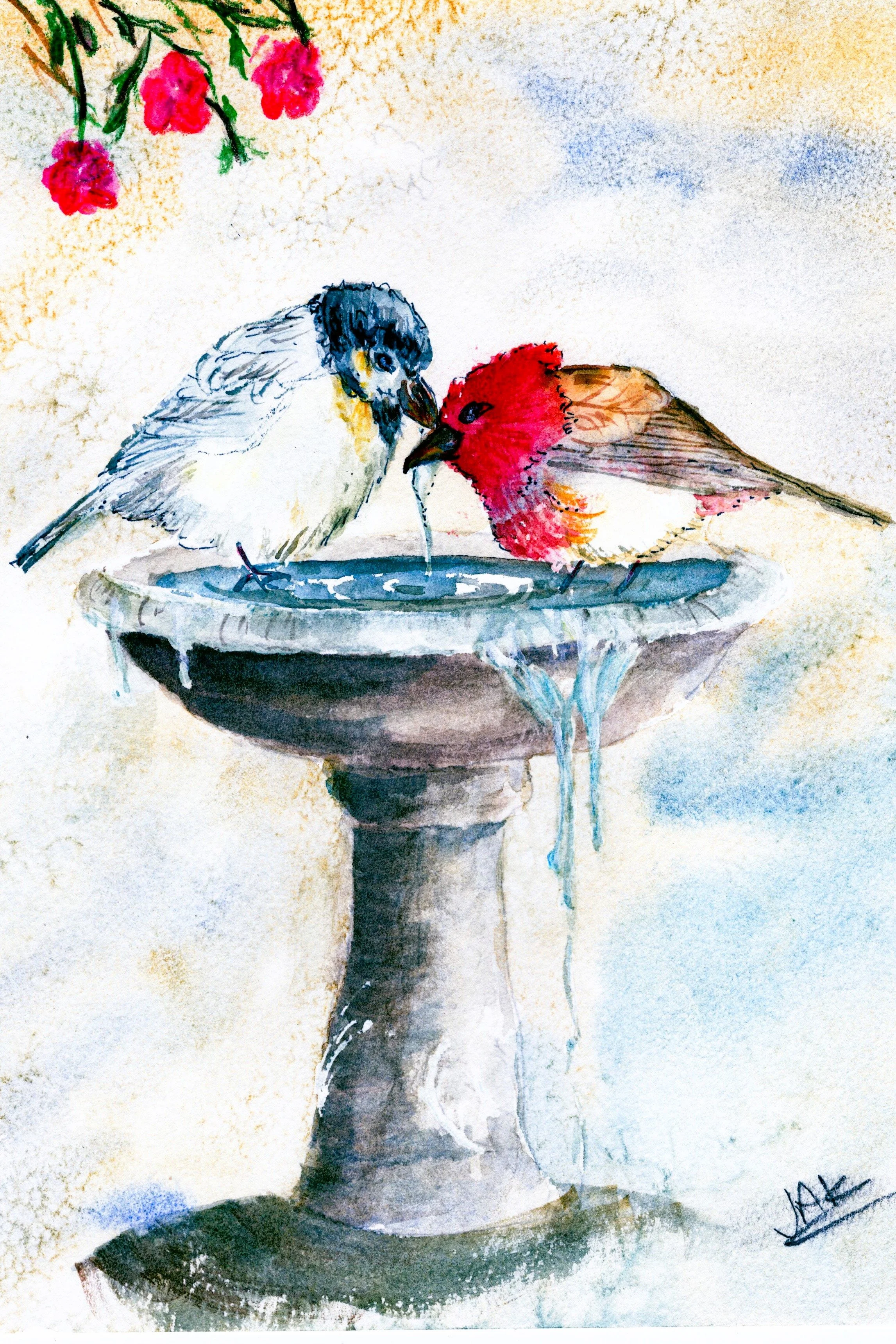 thirsty birds.jpg