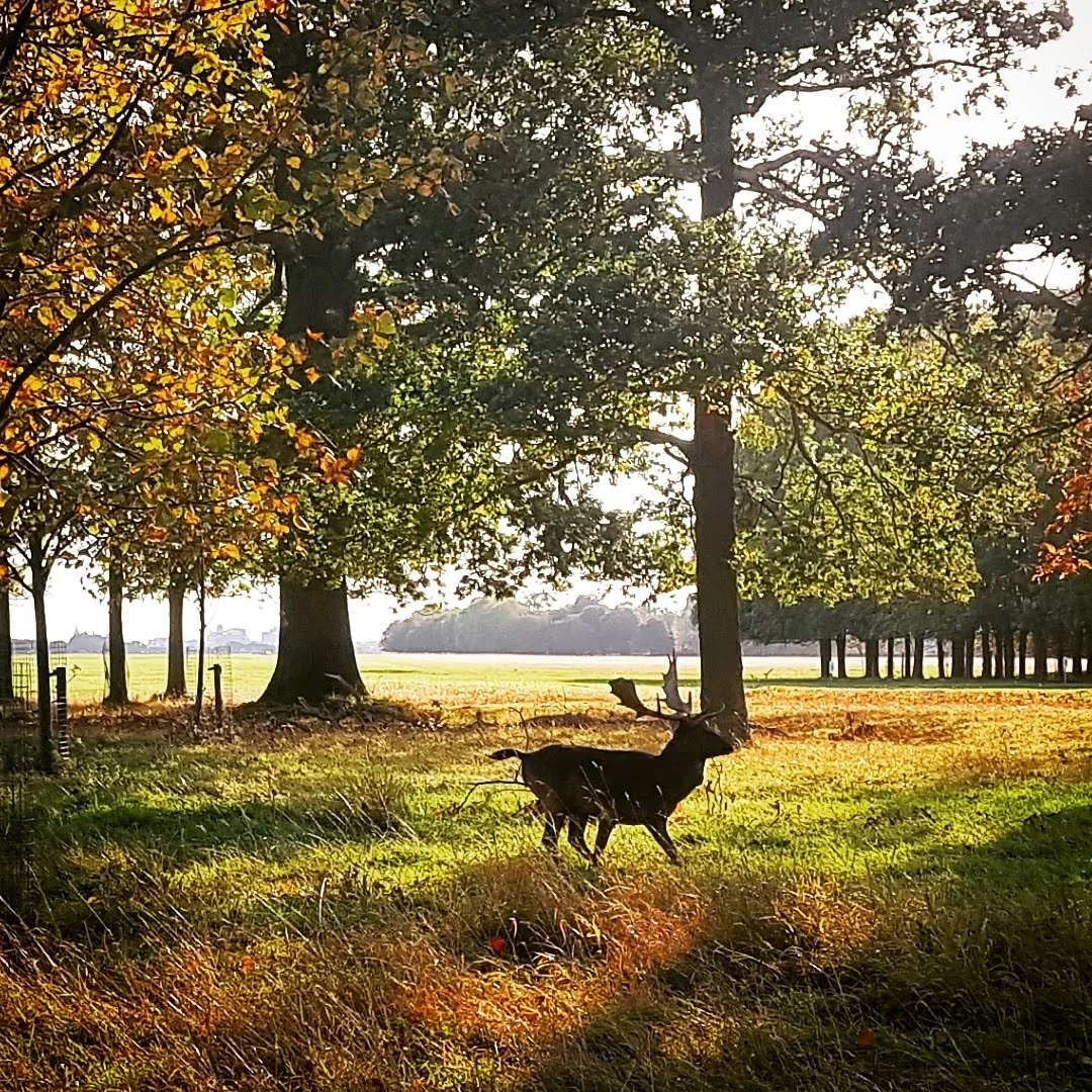 SIX Habits for Exercising Daily