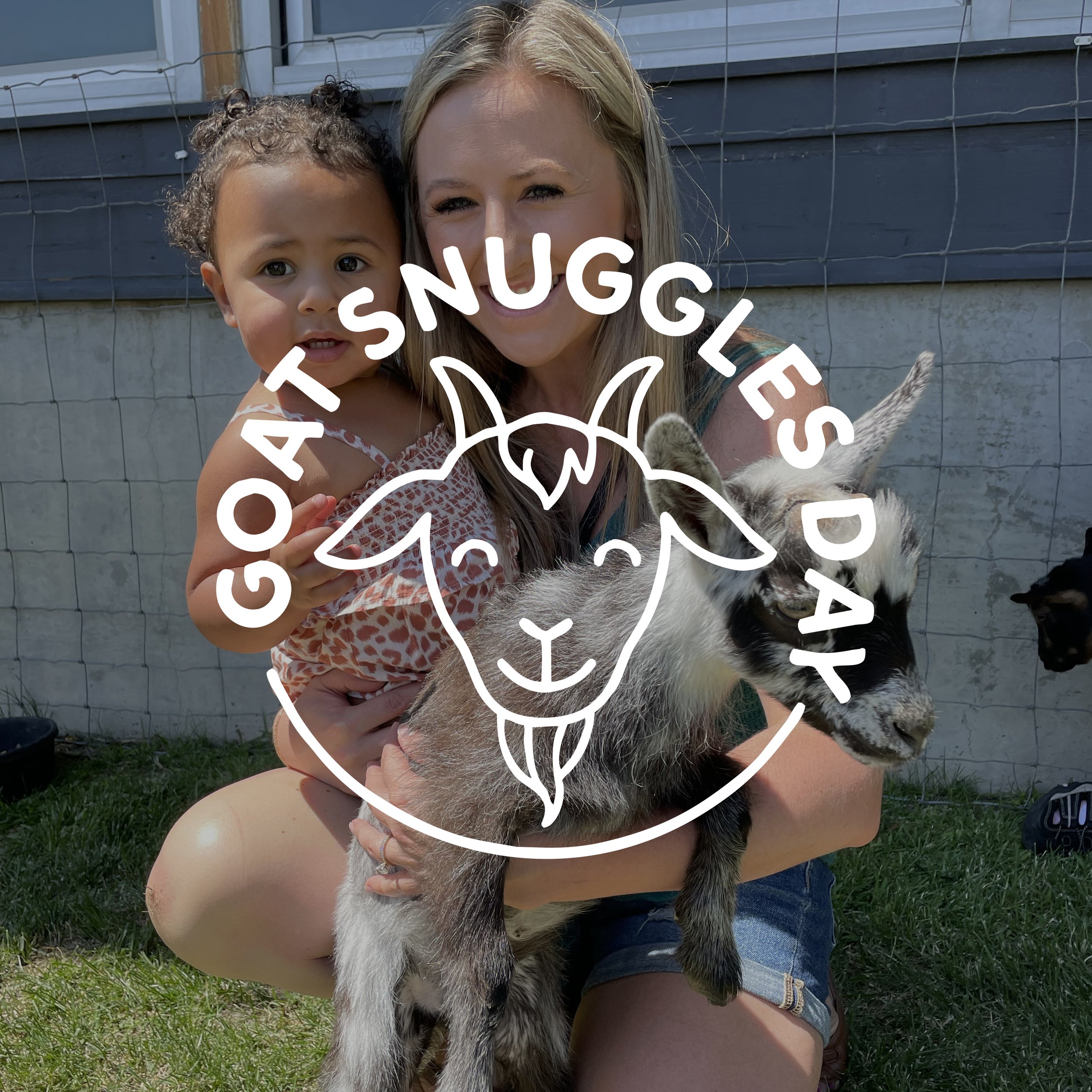 Goat Snuggles Day