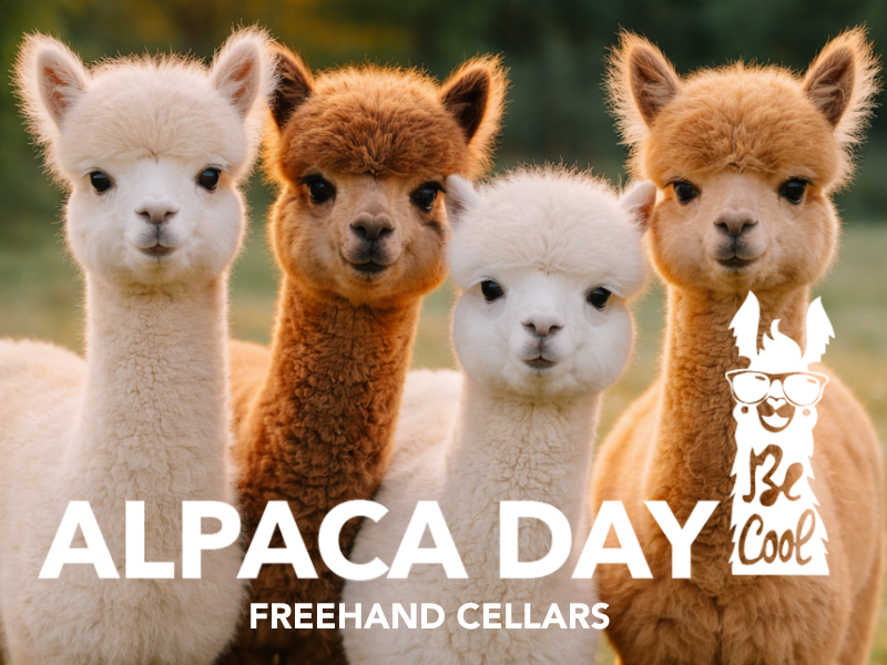 Alpaca Day
