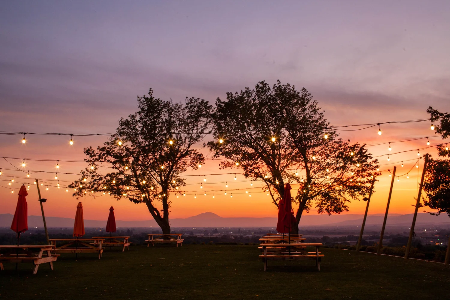 Yakima Wine Tasting in Yakima Valley — Freehand Cellars