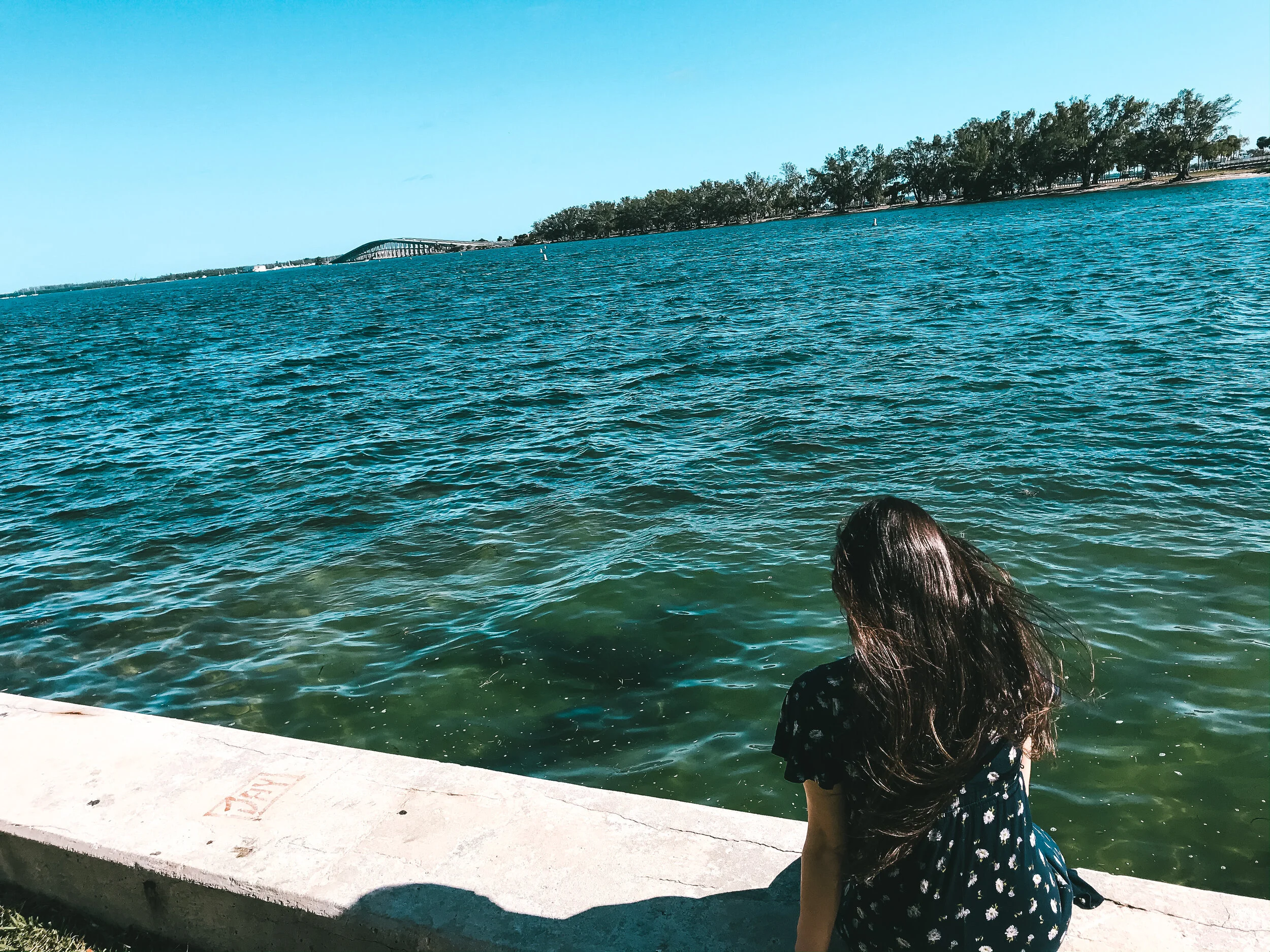 Seawall Commission Meeting