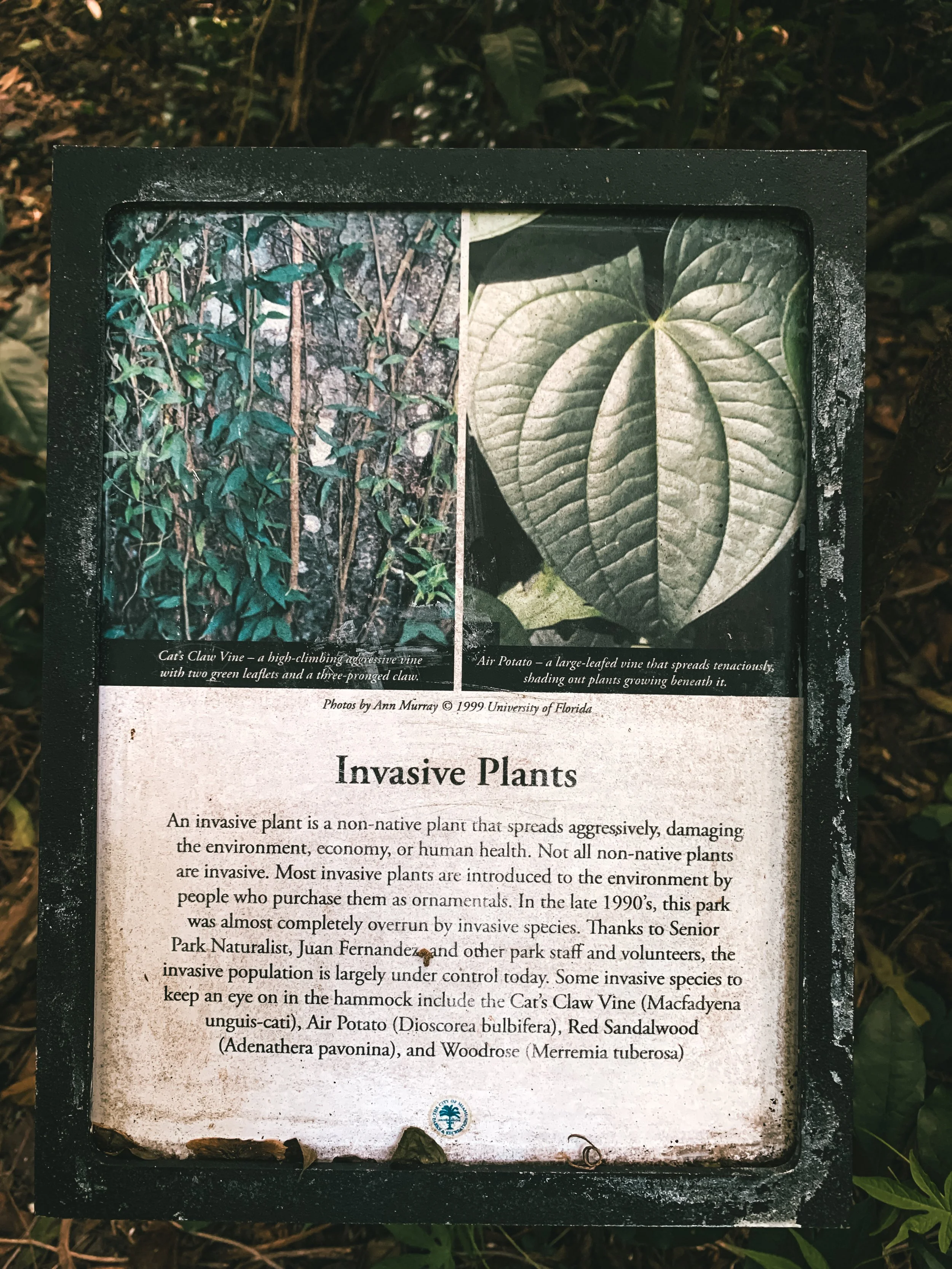 Simpson Park Advocacy by Alec Angulo