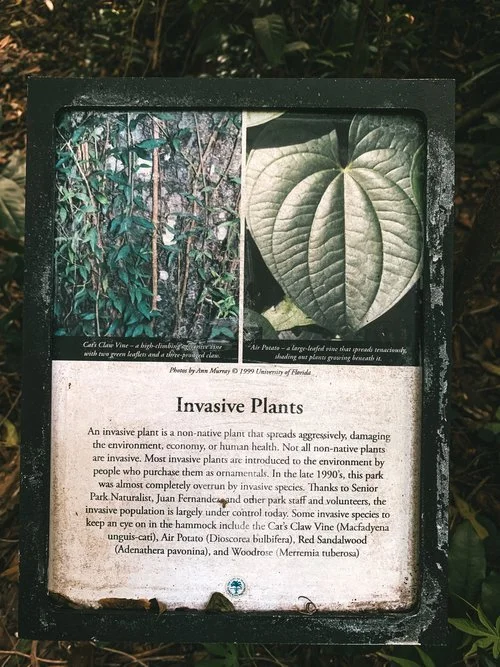 Simpson Park Advocacy by Alec Angulo