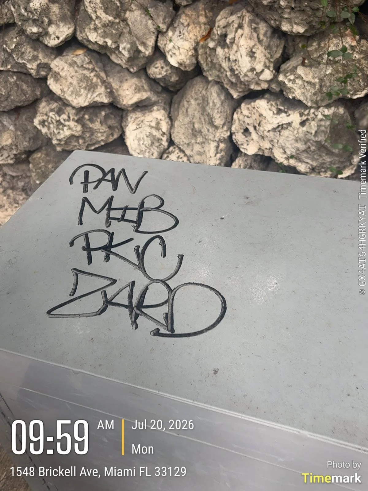 b1aa5e96-3a20-412d-bde6-1dfb7aa089cc.JPG