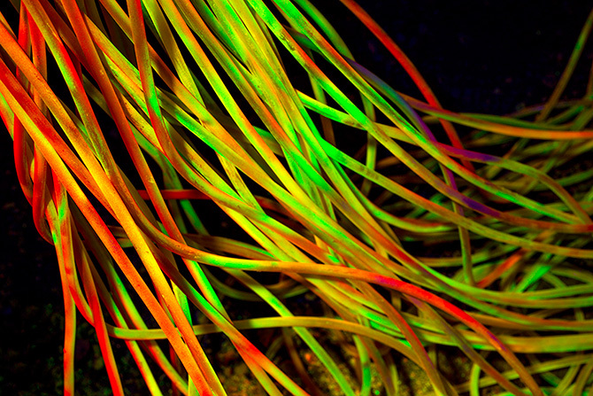 CICHOCKI_TUBES_WEB_670.jpg
