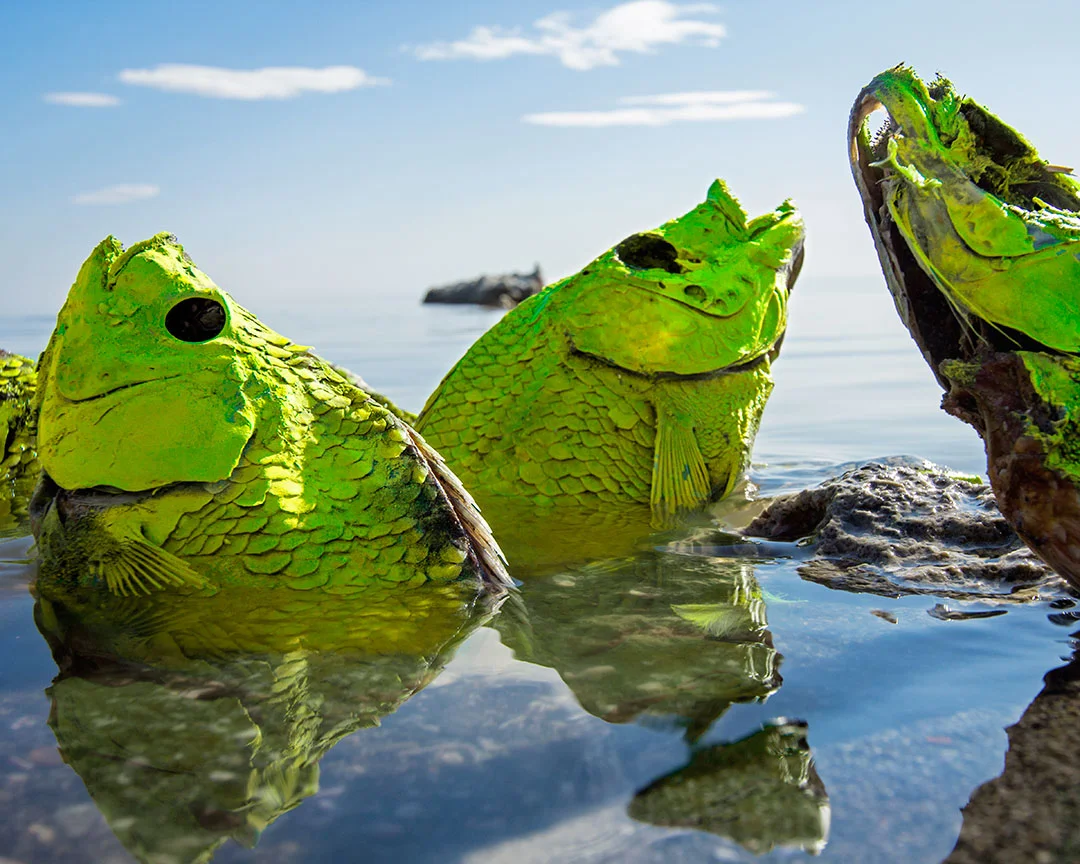 SALTON_SHORE_CICHOCKI_o.jpg