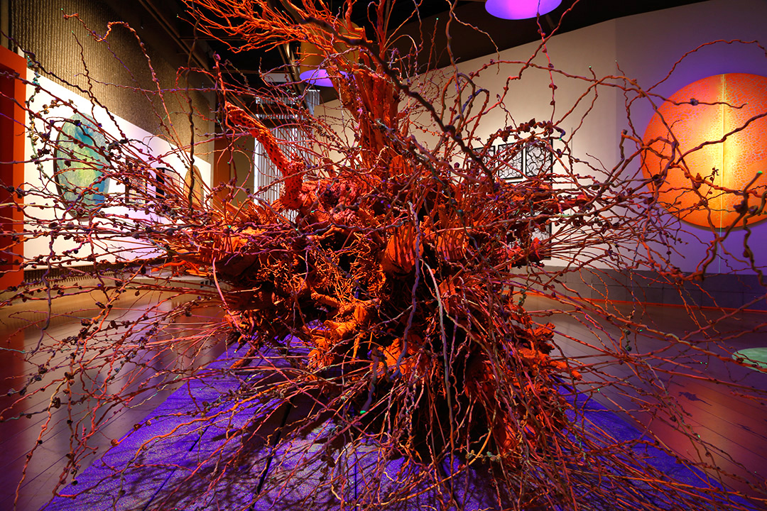 CRISTOPHER_CICHOCKI_DESERT_ABYSS_CYCLE_IN_CYCLE_o.jpg