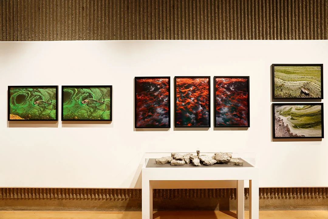 CRISTOPHER_CICHOCKI_PHOTOS_o.jpg