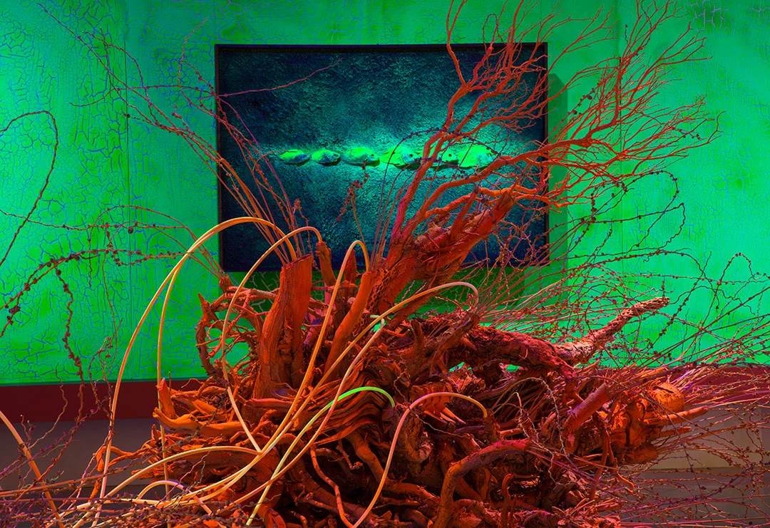 TUBE_TREE_CICHOCKI_o.jpg