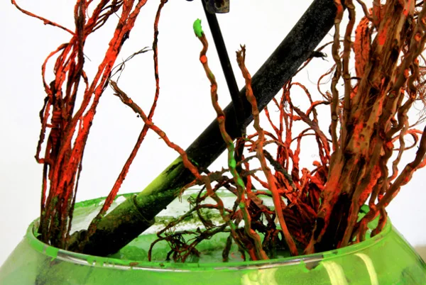 ROOT_BOWL_10.jpg