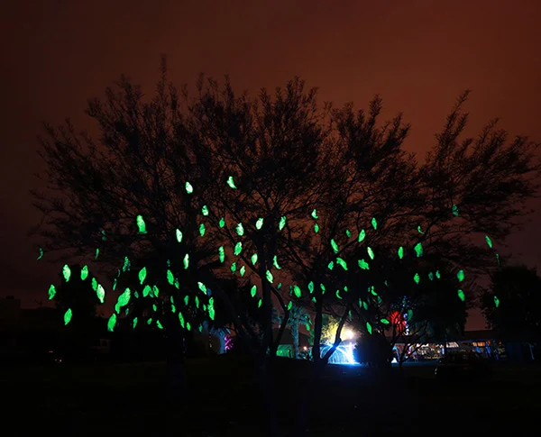 TREE_4_261.jpg