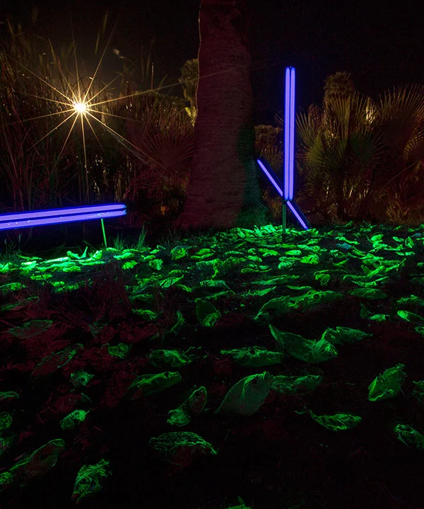 DESERT_DAZE_VERT_6.jpg