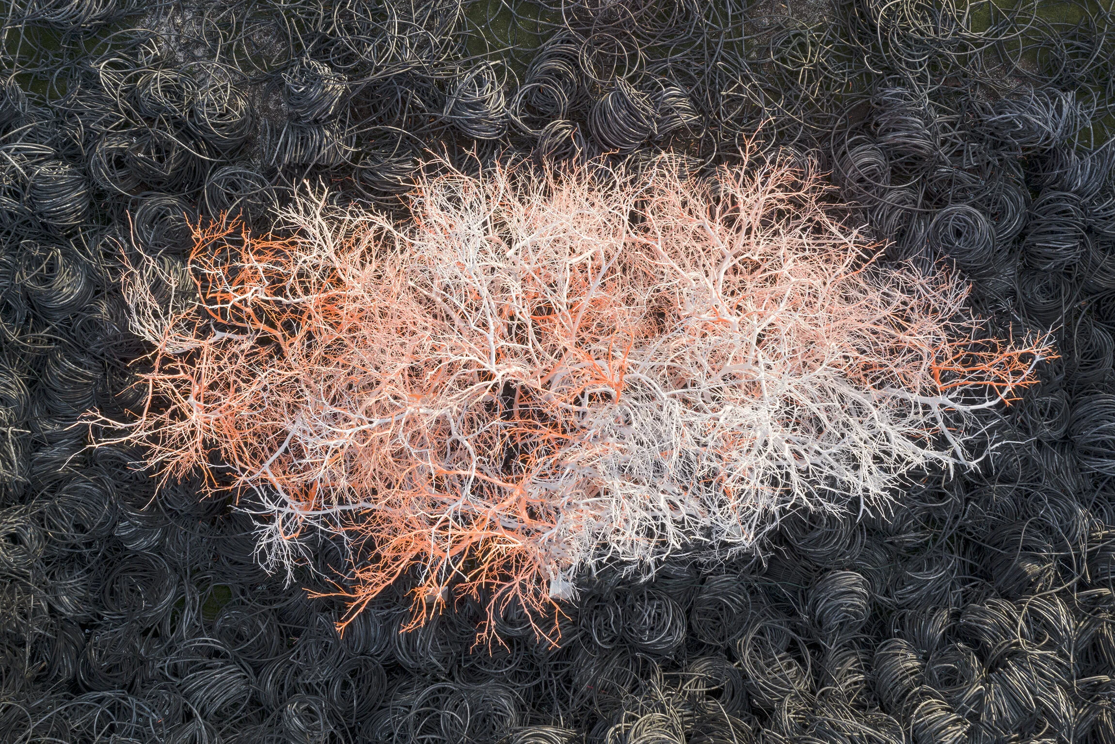 DESERT_ART_Cristopher_Cichocki_1.jpg