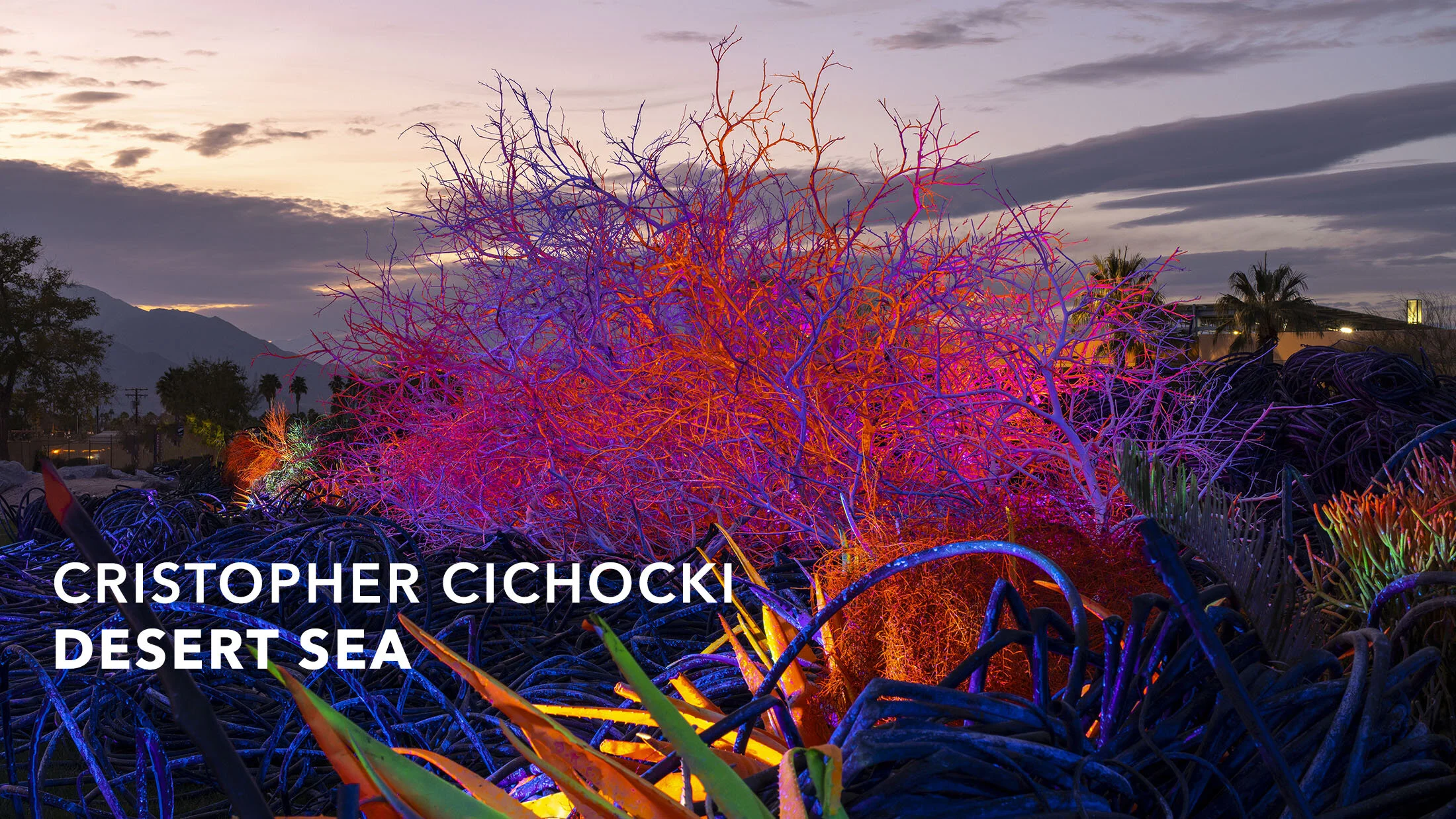 CRISTOPHER CICHOCKI : DESERT SEA